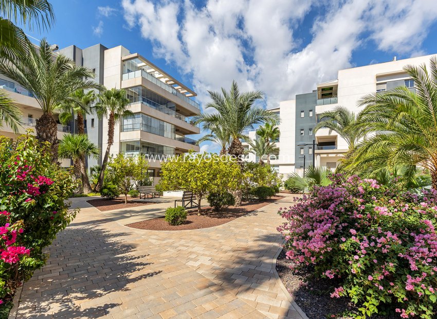 Wiederverkauf - Appartement - Orihuela Costa - Villamartín