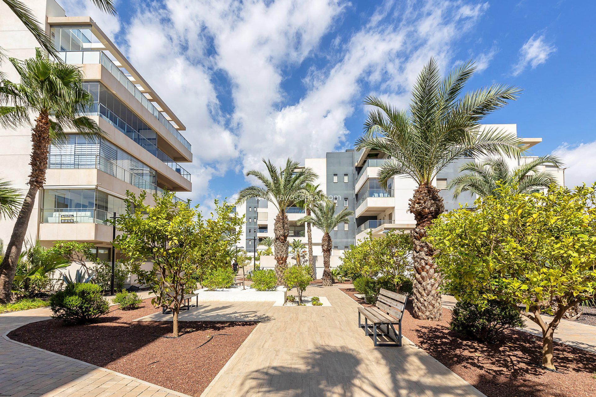 Wiederverkauf - Appartement - Orihuela Costa - Villamartín