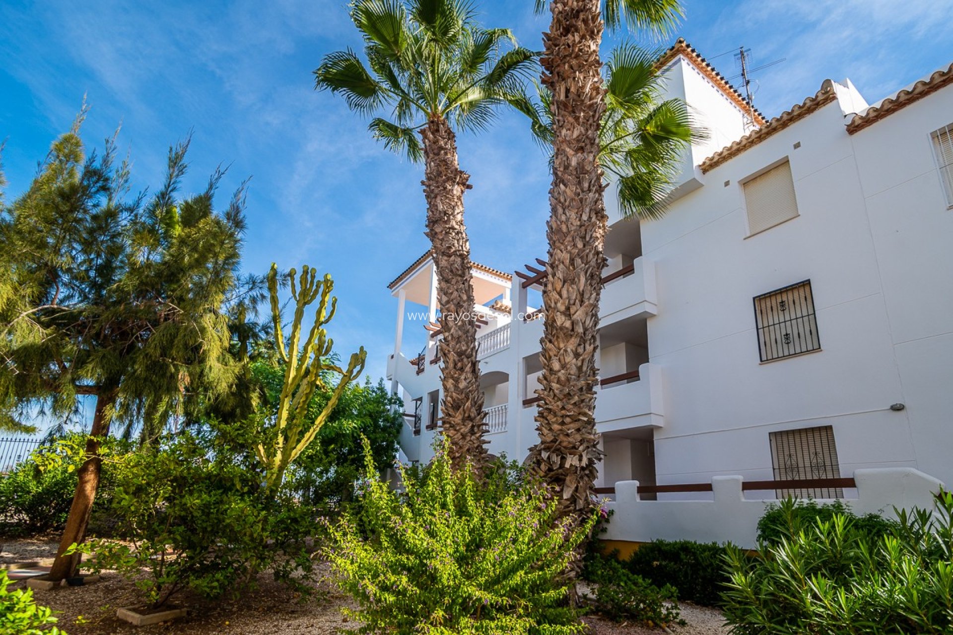 Wiederverkauf - Appartement - Orihuela Costa - Villamartín