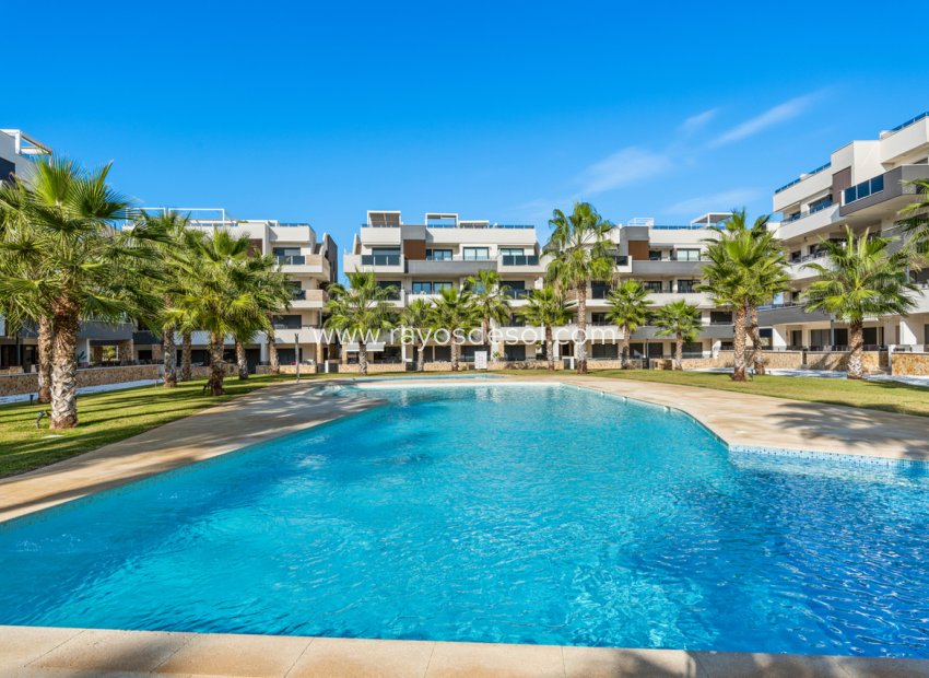 Wiederverkauf - Appartement - Orihuela Costa - Villamartín