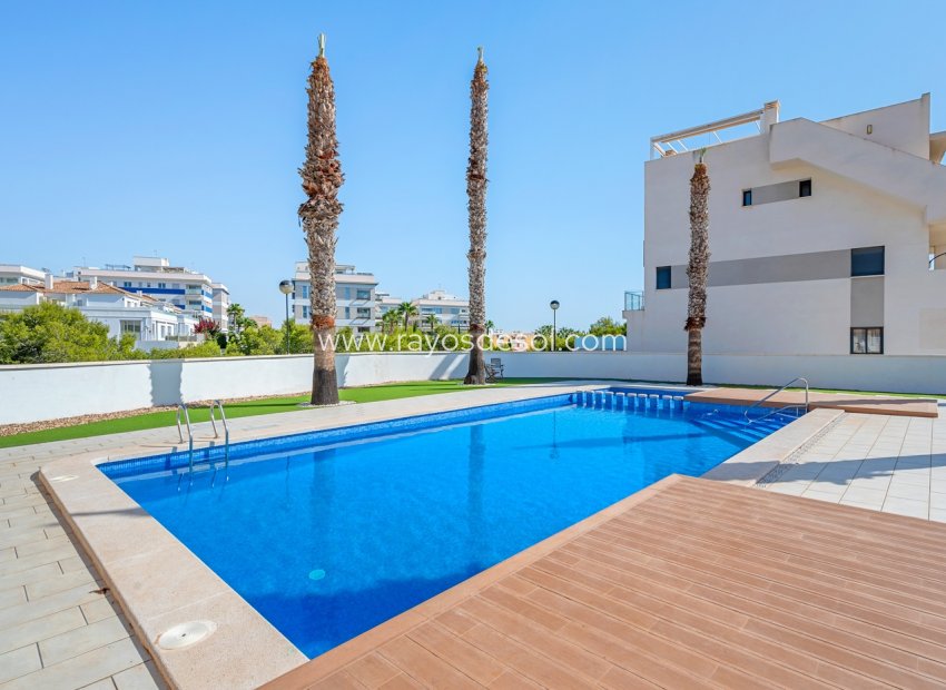 Wiederverkauf - Appartement - Orihuela Costa