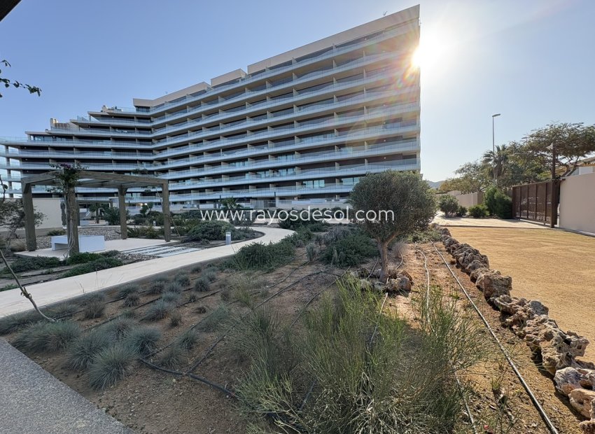 Wiederverkauf - Appartement - Playa Honda