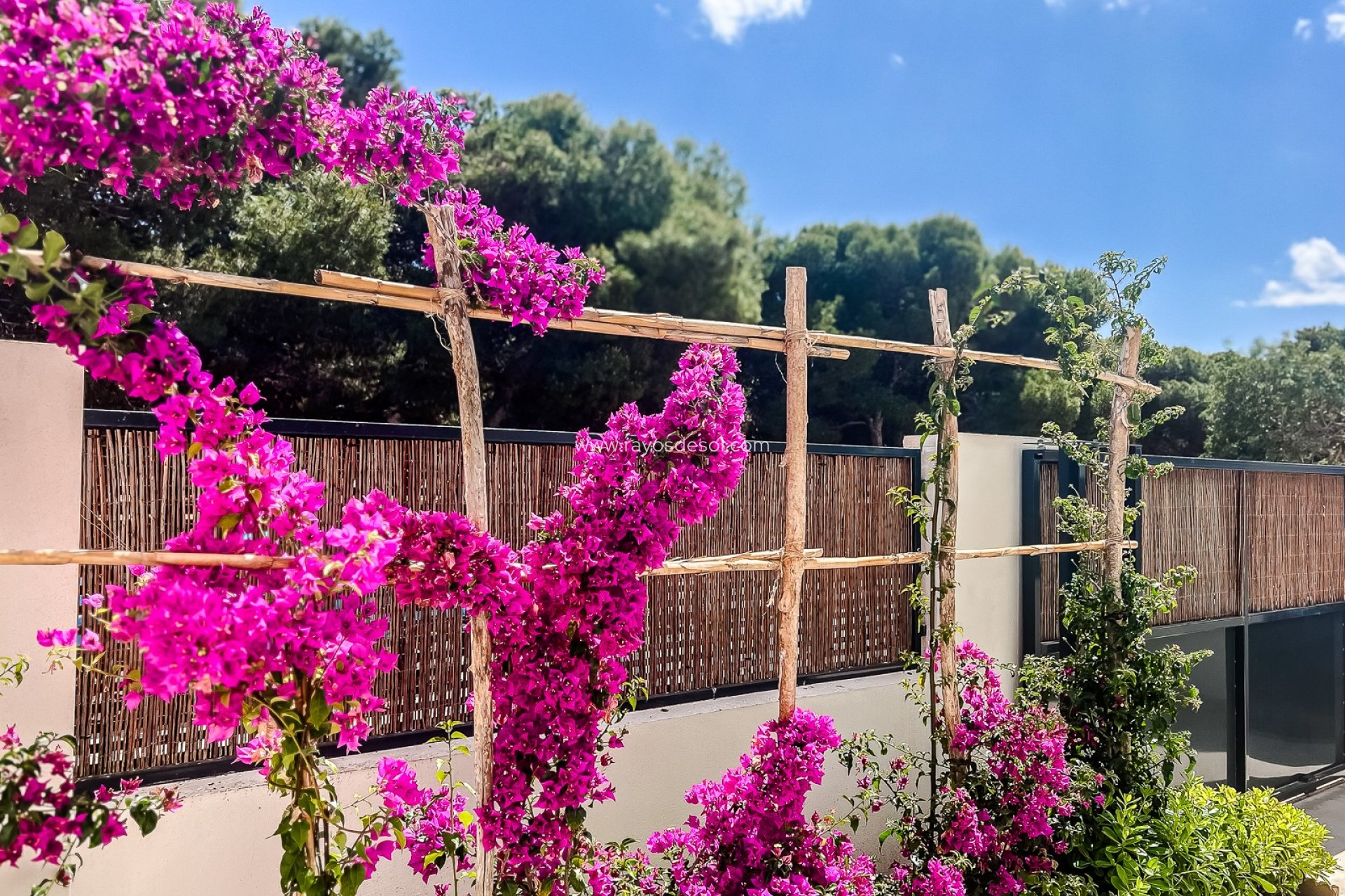 Wiederverkauf - Appartement - San Javier - Santiago de la Ribera