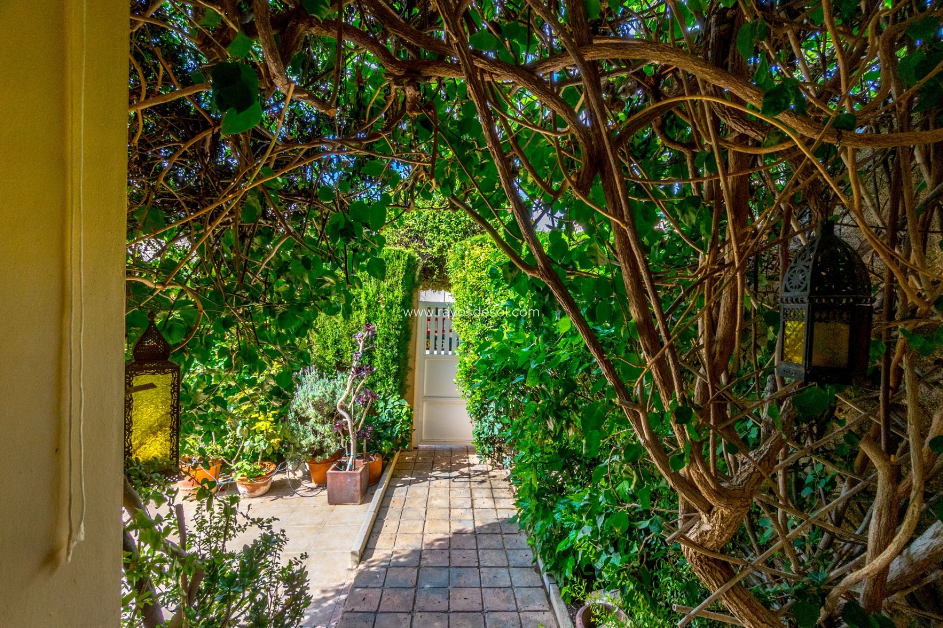 Wiederverkauf - Appartement - Torrevieja - Aguas Nuevas