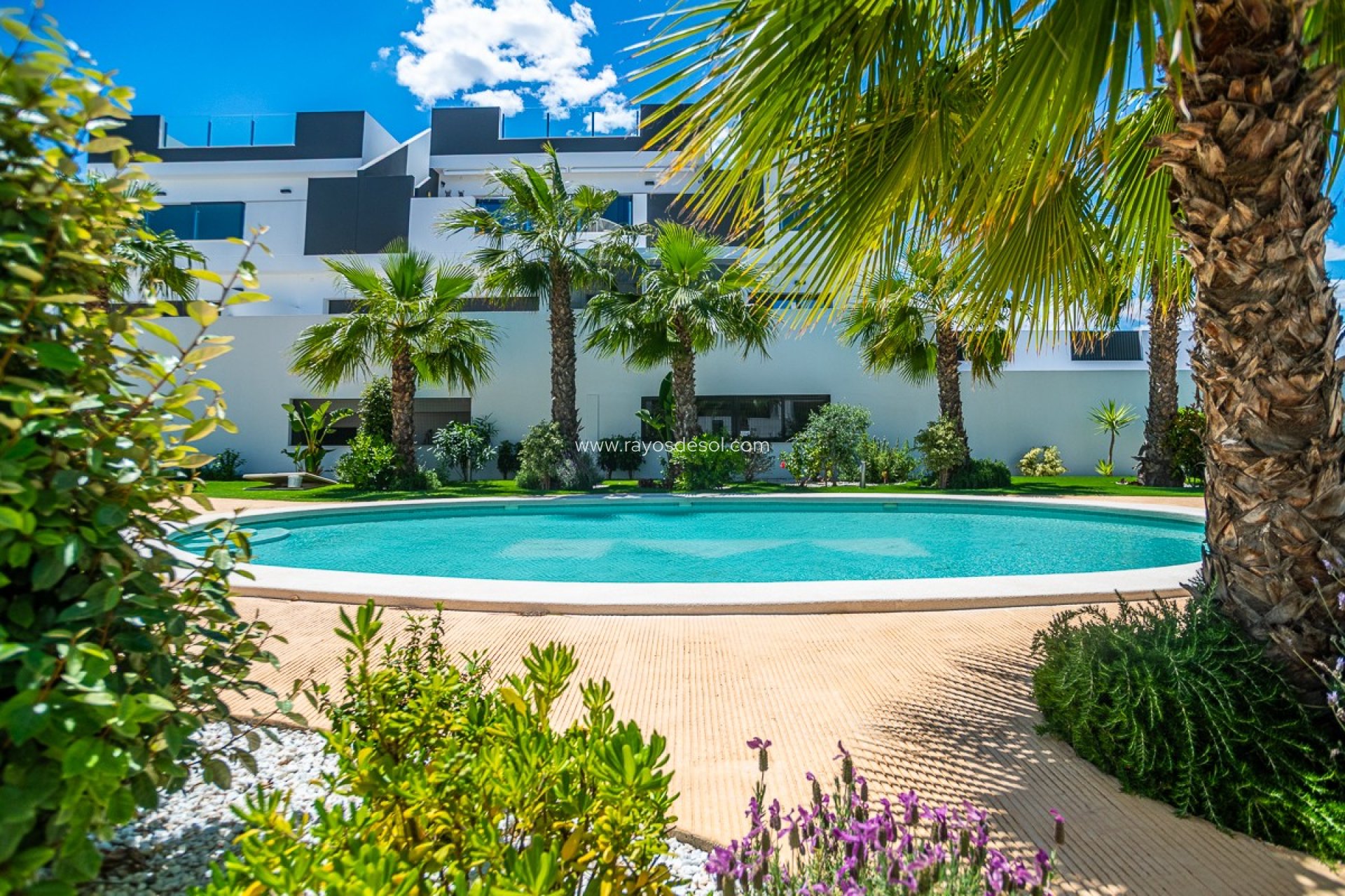 Wiederverkauf - Appartement - Torrevieja - LOS BALCONES - LOS ALTOS