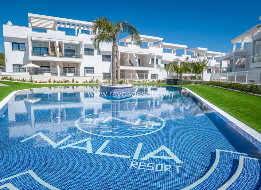 Wiederverkauf - Appartement - Torrevieja - Los Balcones