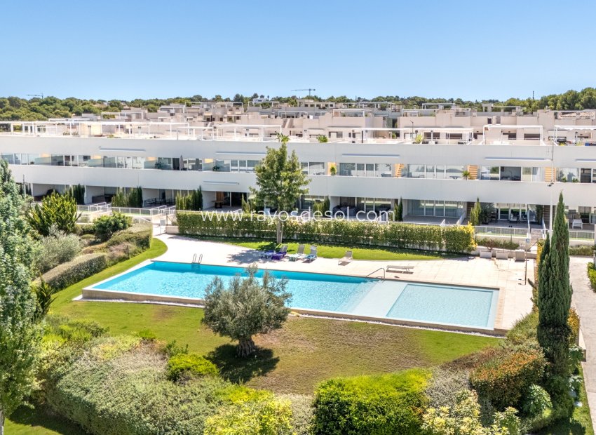 Wiederverkauf - Appartement - Torrevieja - Los Balcones