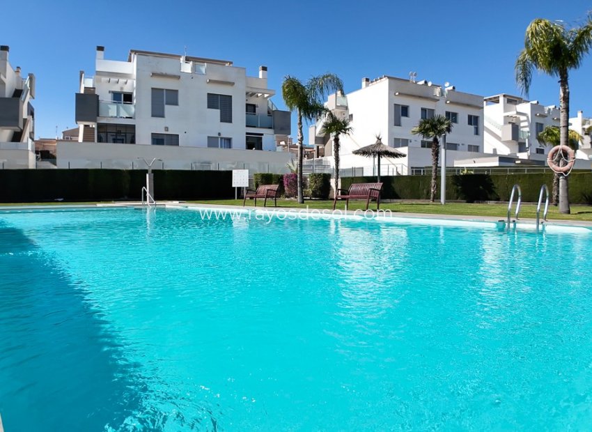 Wiederverkauf - Appartement - Torrevieja - Punta Prima