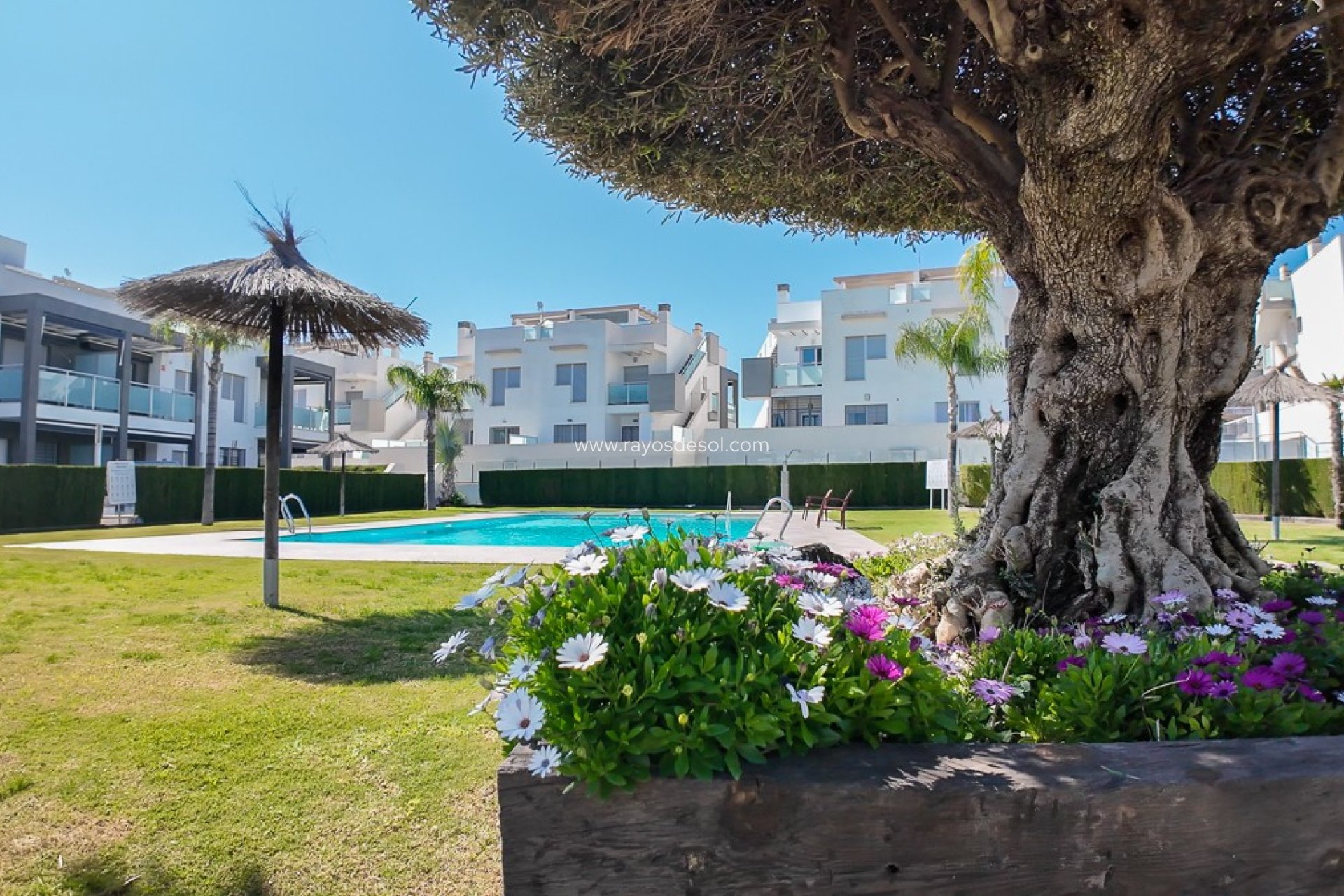 Wiederverkauf - Appartement - Torrevieja - Punta Prima