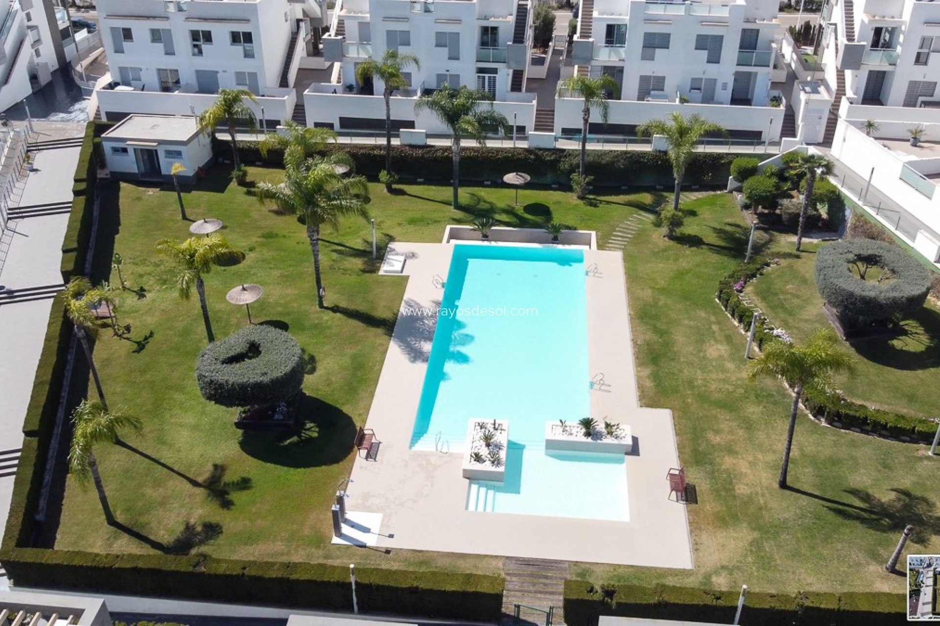 Wiederverkauf - Appartement - Torrevieja - Punta Prima