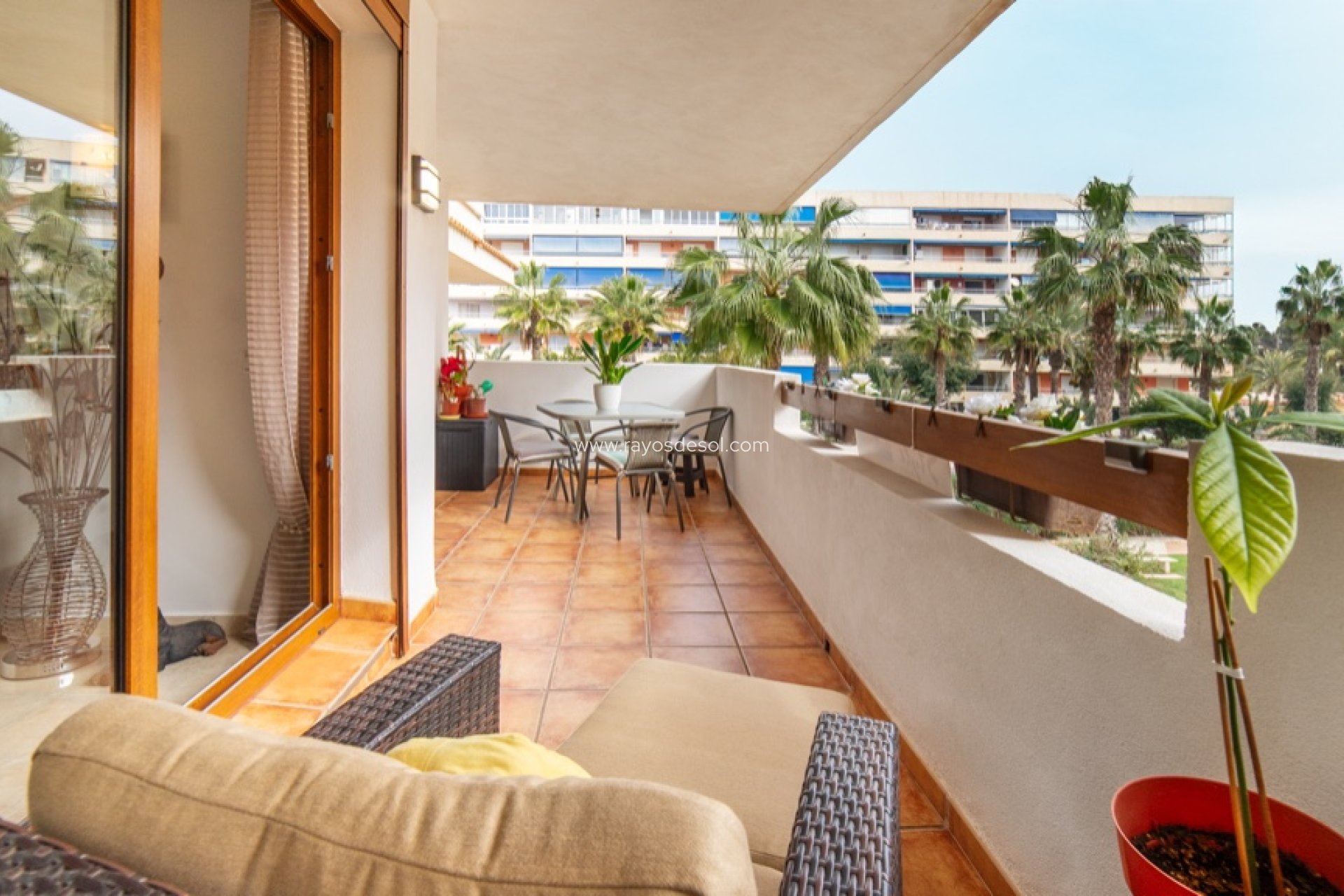 Wiederverkauf - Appartement - Torrevieja - Punta Prima
