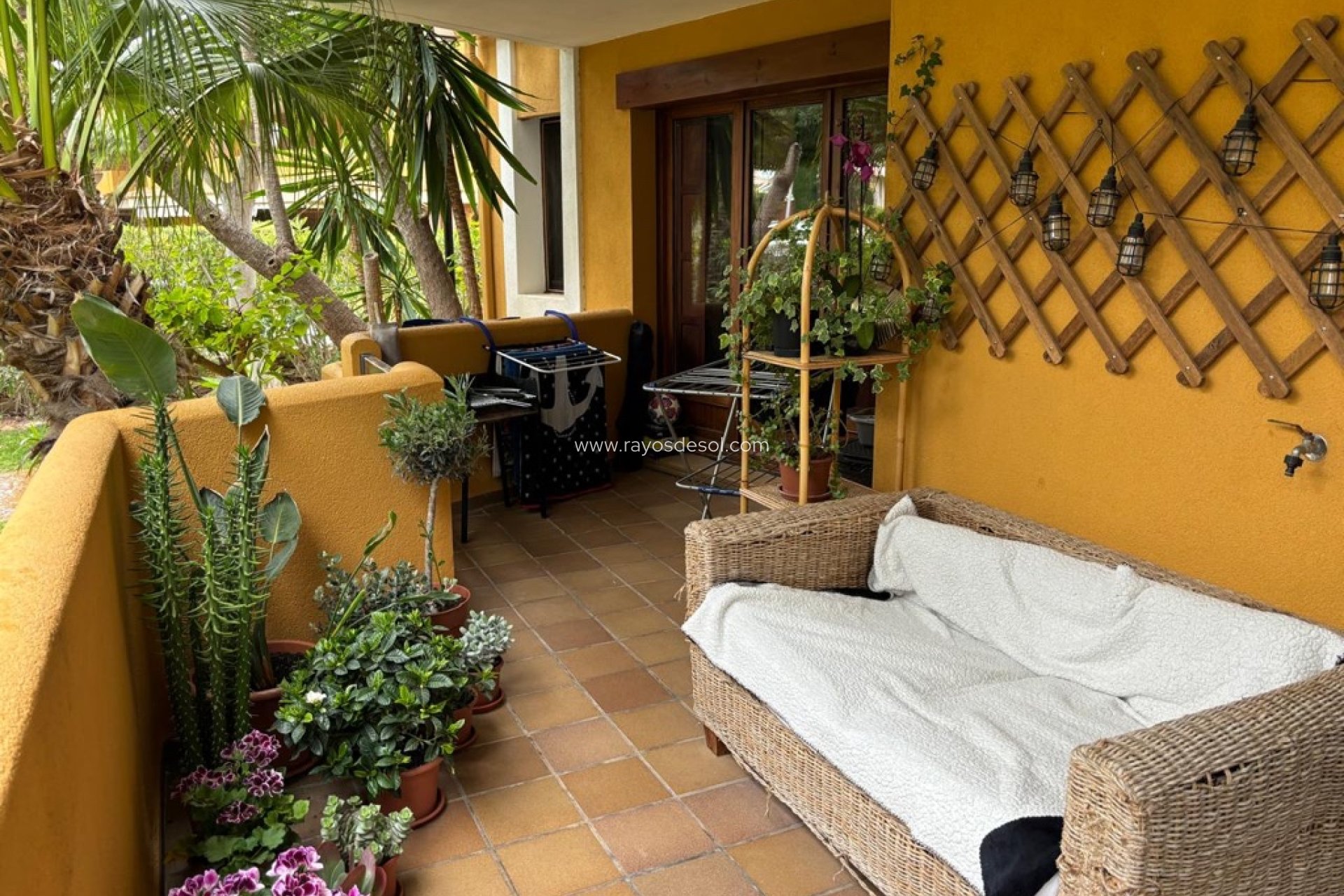 Wiederverkauf - Appartement - Torrevieja - Punta Prima