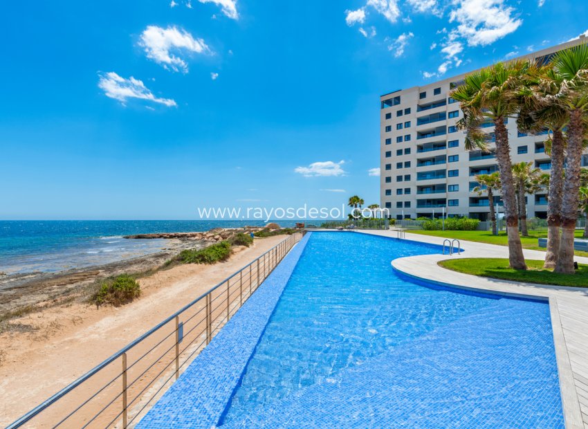 Wiederverkauf - Appartement - Torrevieja - Punta Prima