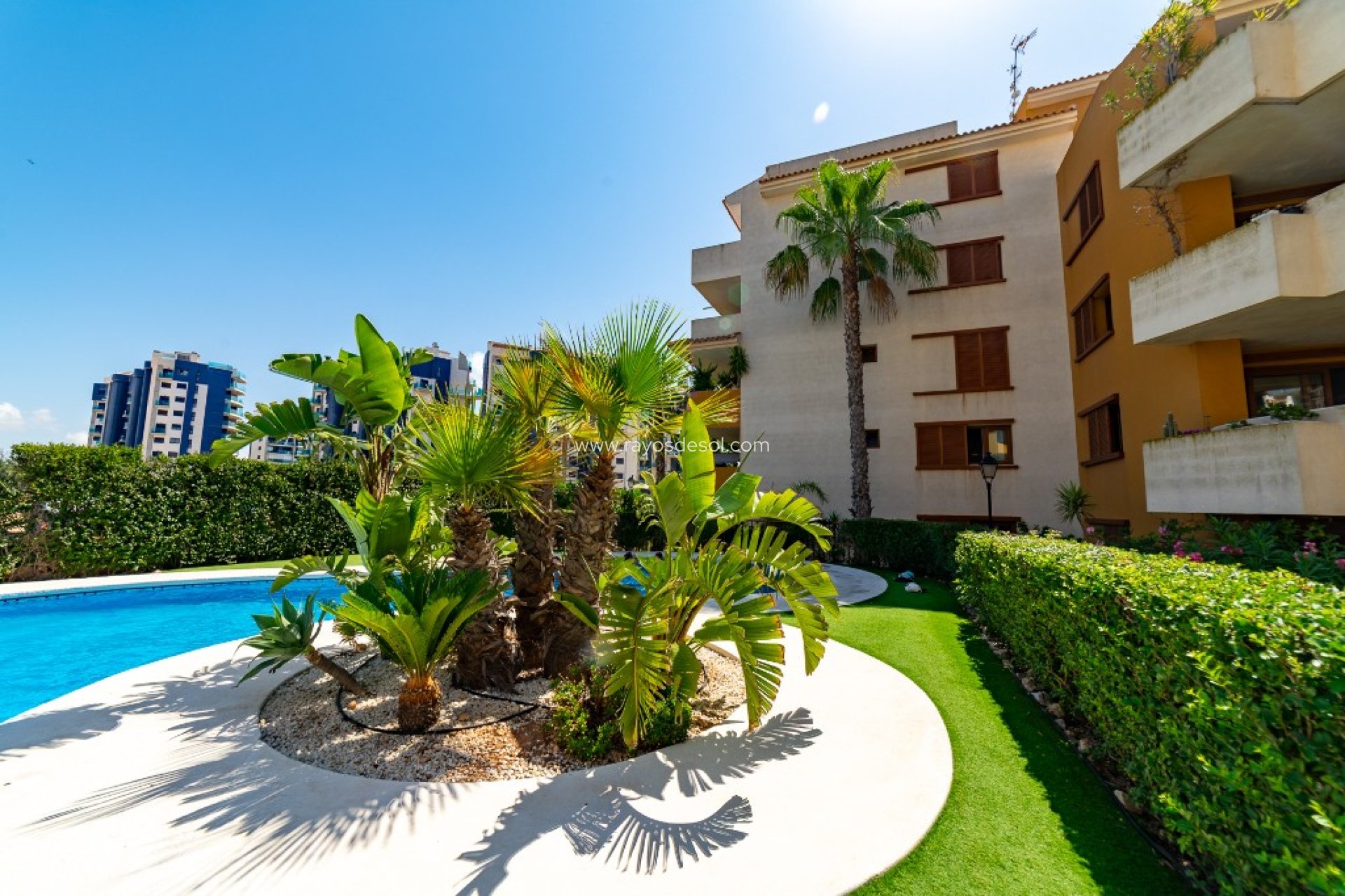 Wiederverkauf - Appartement - Torrevieja - Punta Prima