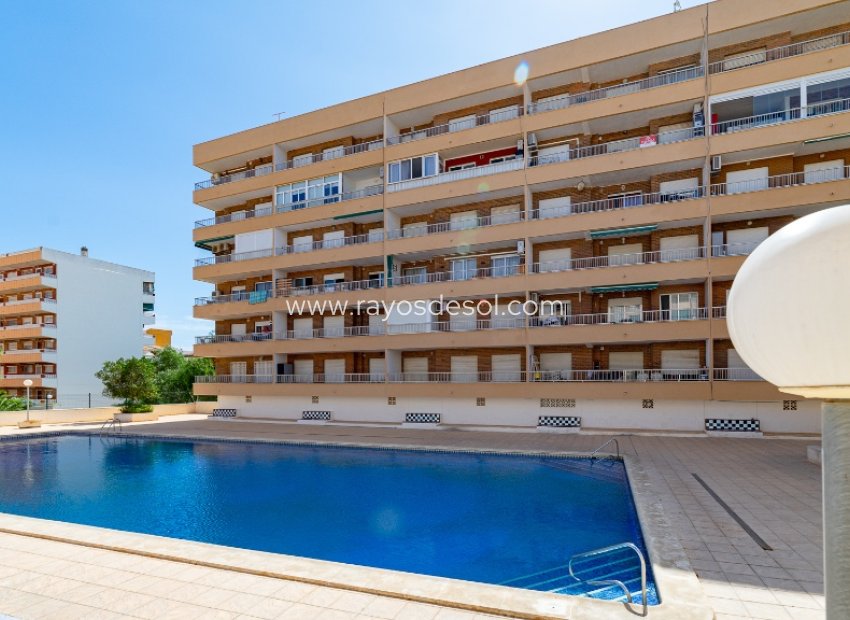 Wiederverkauf - Appartement - Torrevieja - Punta Prima