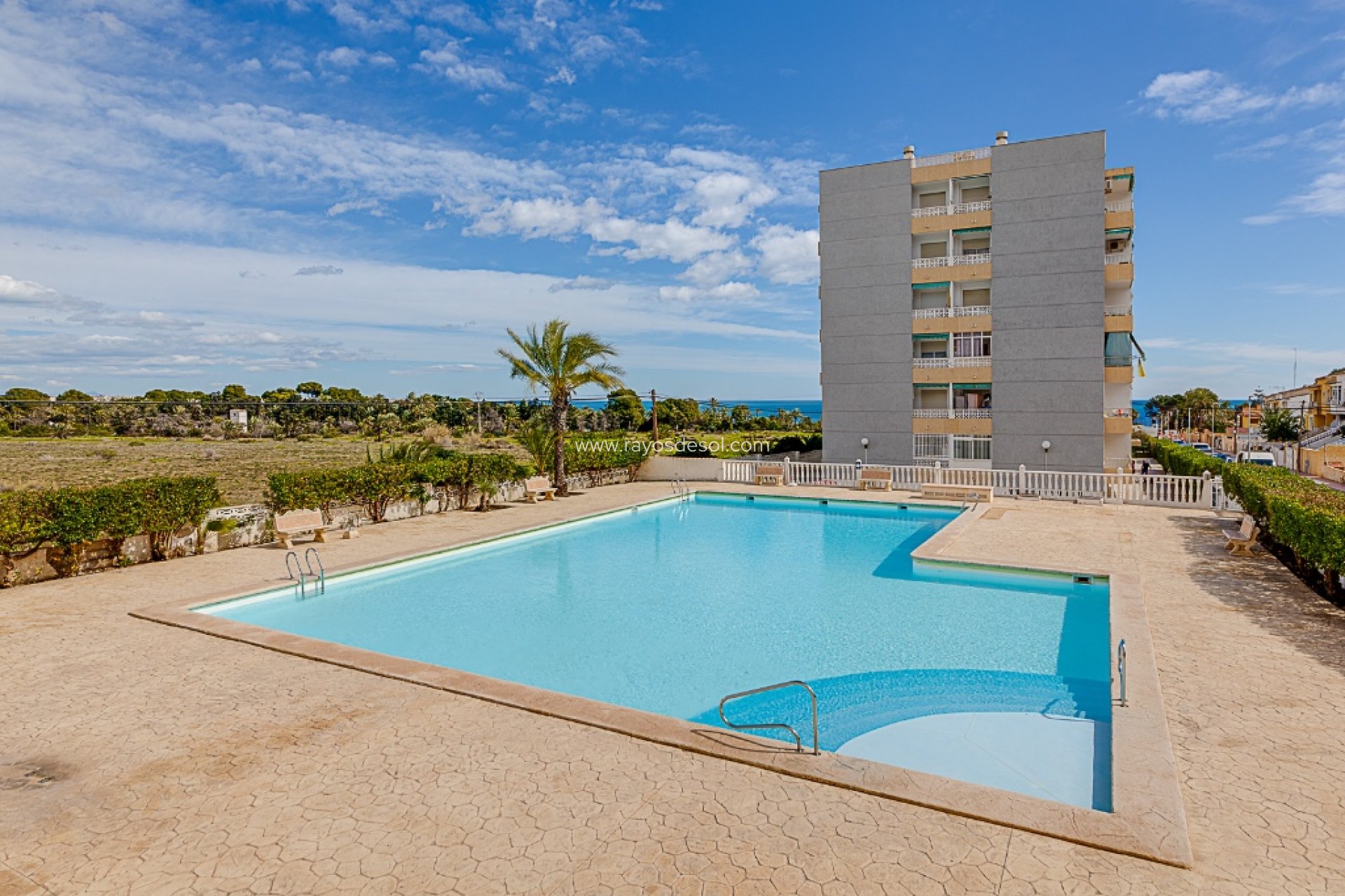 Wiederverkauf - Appartement - Torrevieja - Punta Prima
