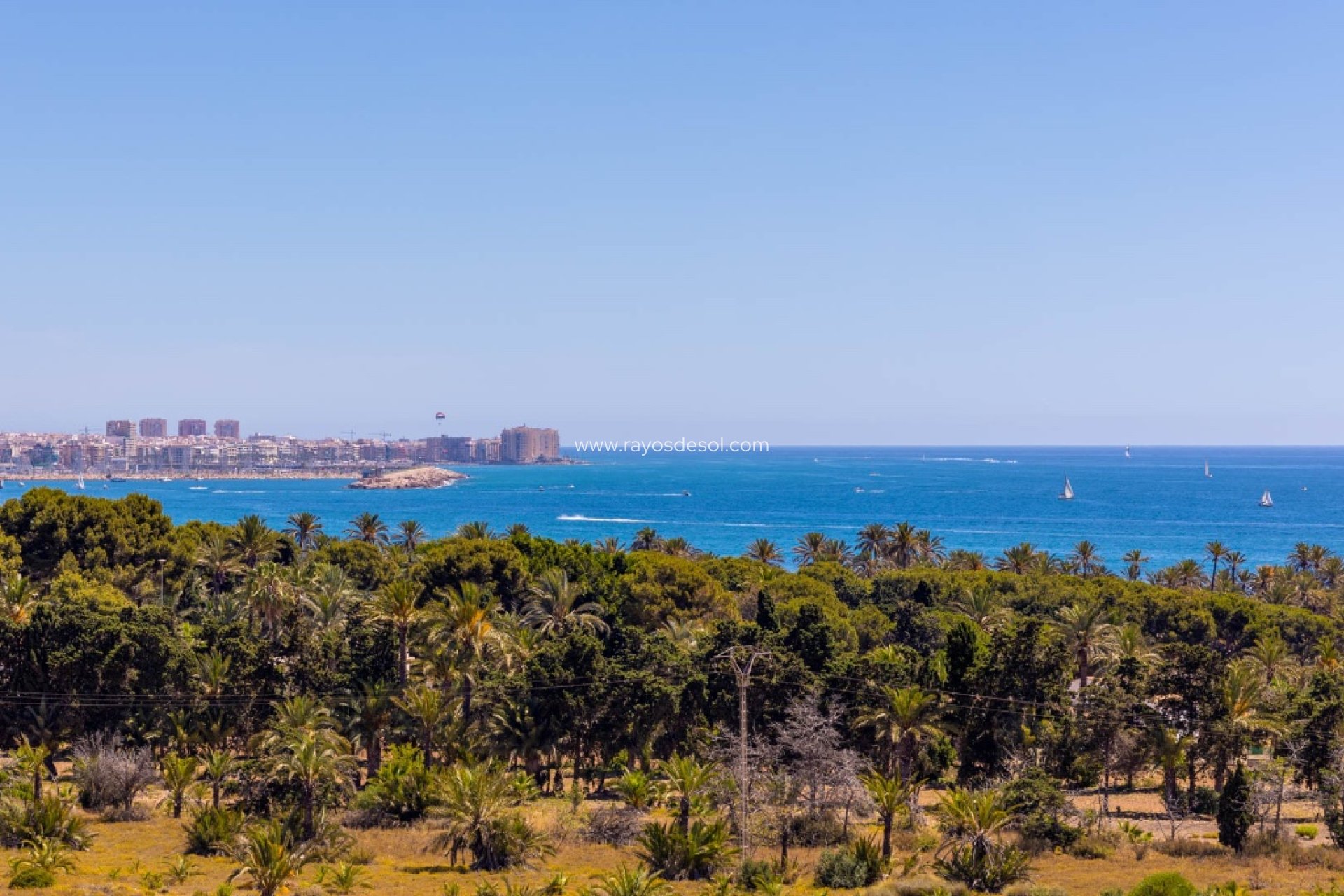 Wiederverkauf - Appartement - Torrevieja - Punta Prima