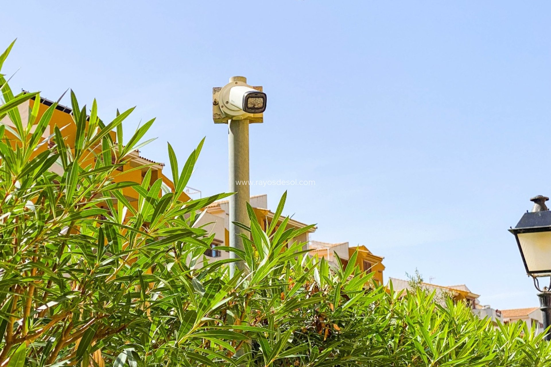 Wiederverkauf - Appartement - Torrevieja - Punta Prima