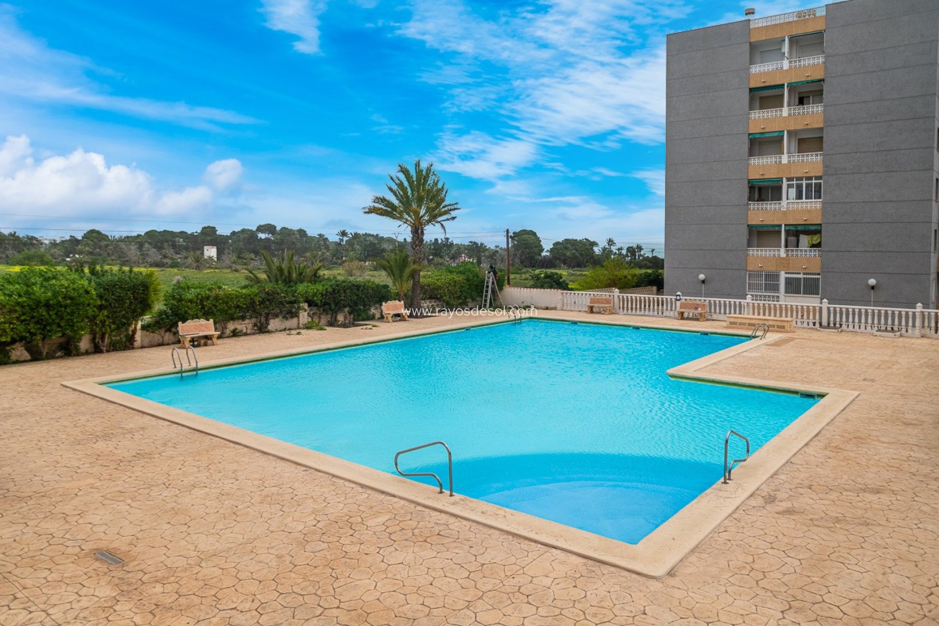 Wiederverkauf - Appartement - Torrevieja - Punta Prima