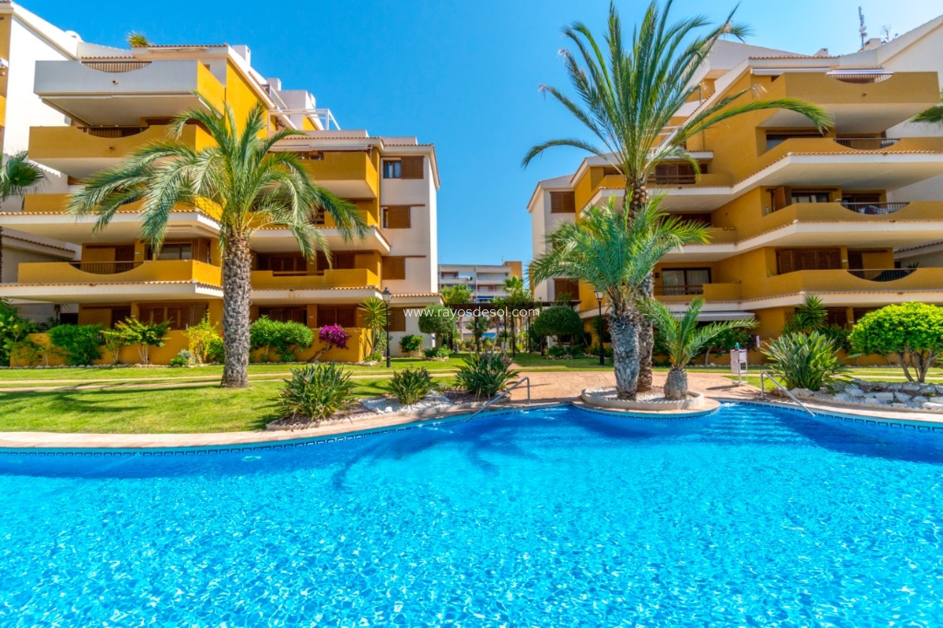 Wiederverkauf - Appartement - Torrevieja - Punta Prima