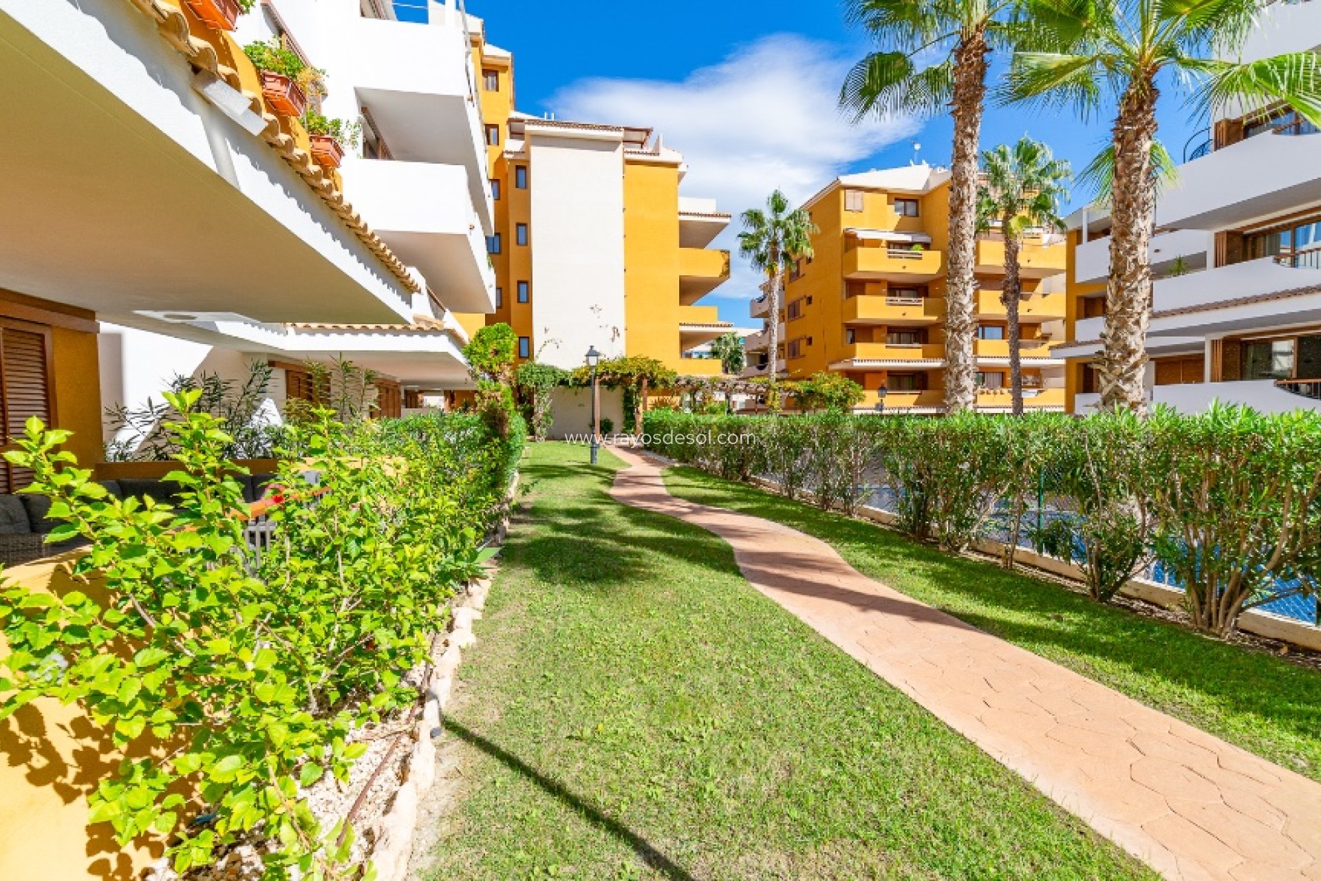 Wiederverkauf - Appartement - Torrevieja - Punta Prima
