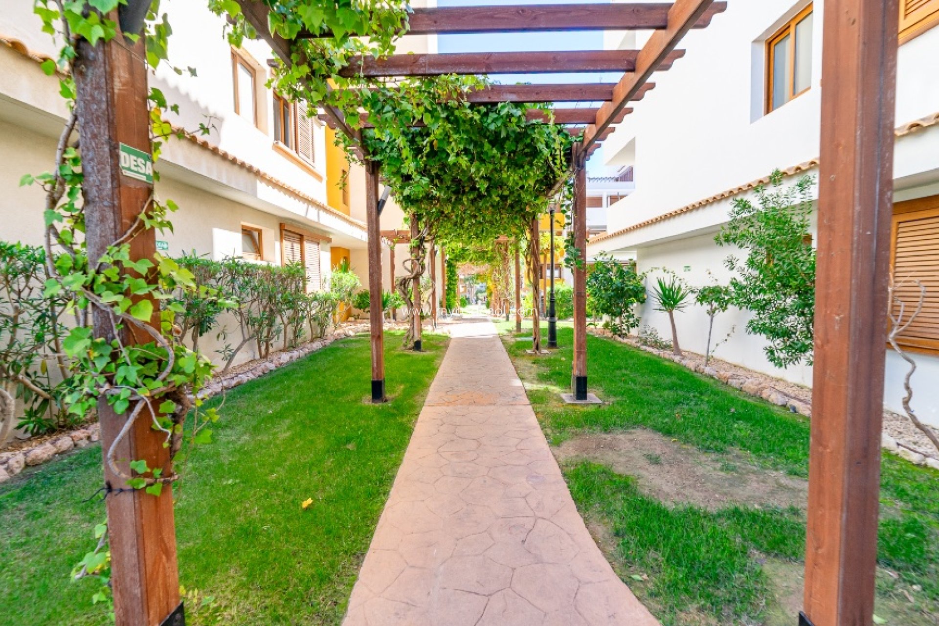 Wiederverkauf - Appartement - Torrevieja - Punta Prima