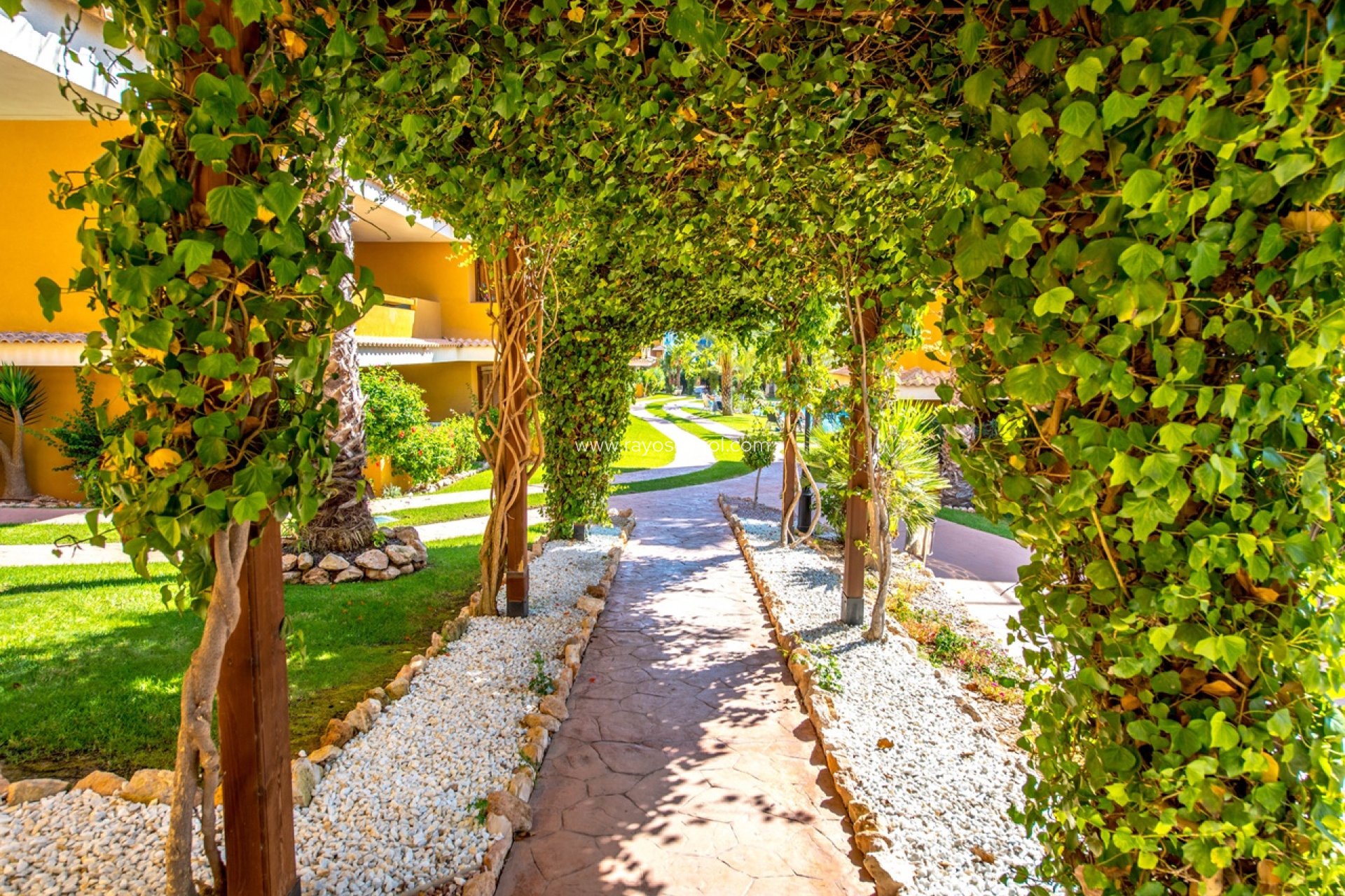 Wiederverkauf - Appartement - Torrevieja - Punta Prima