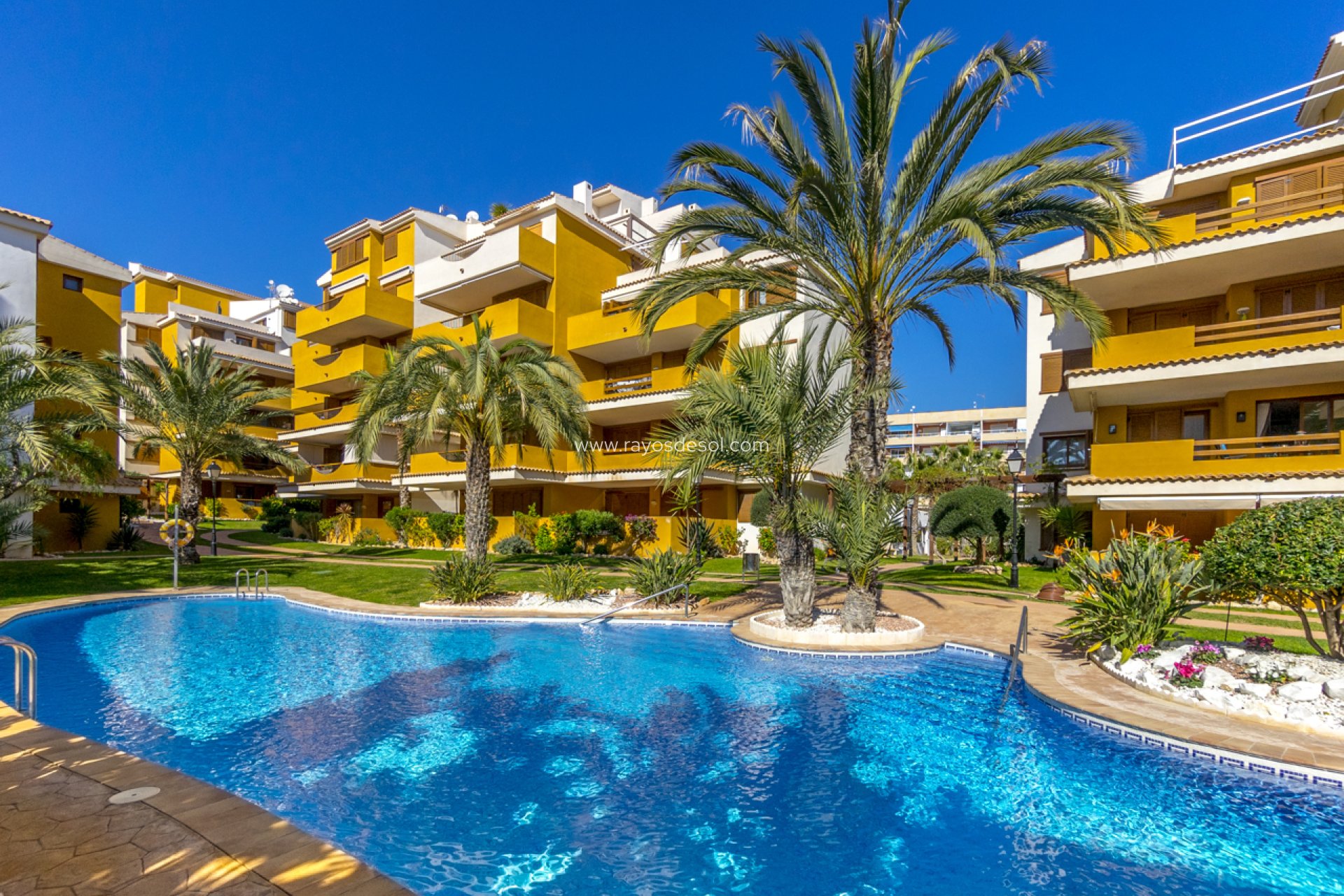 Wiederverkauf - Appartement - Torrevieja - Punta Prima