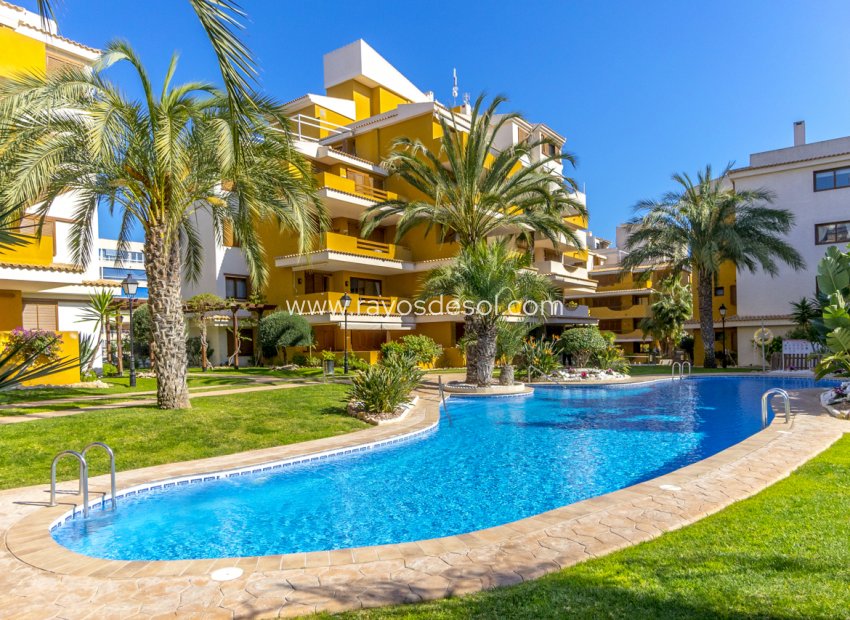 Wiederverkauf - Appartement - Torrevieja - Punta Prima