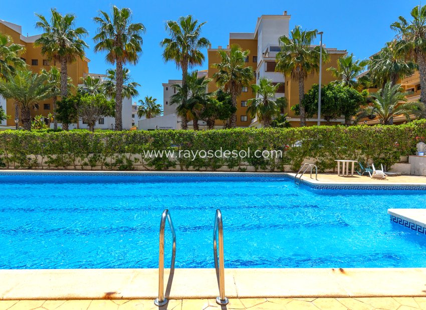 Wiederverkauf - Appartement - Torrevieja - Rocio del Mar