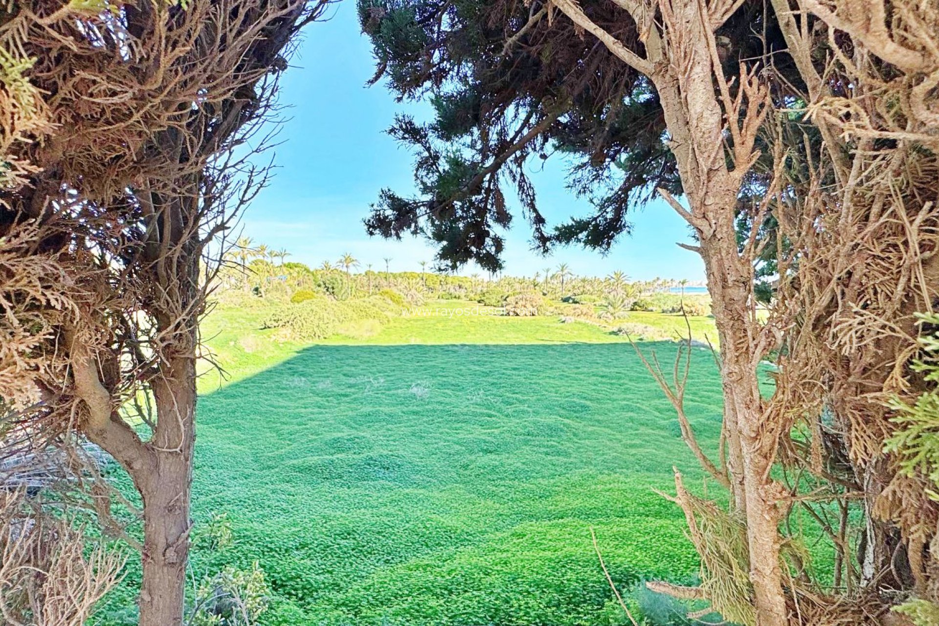 Wiederverkauf - Appartement - Torrevieja - Rocio del Mar