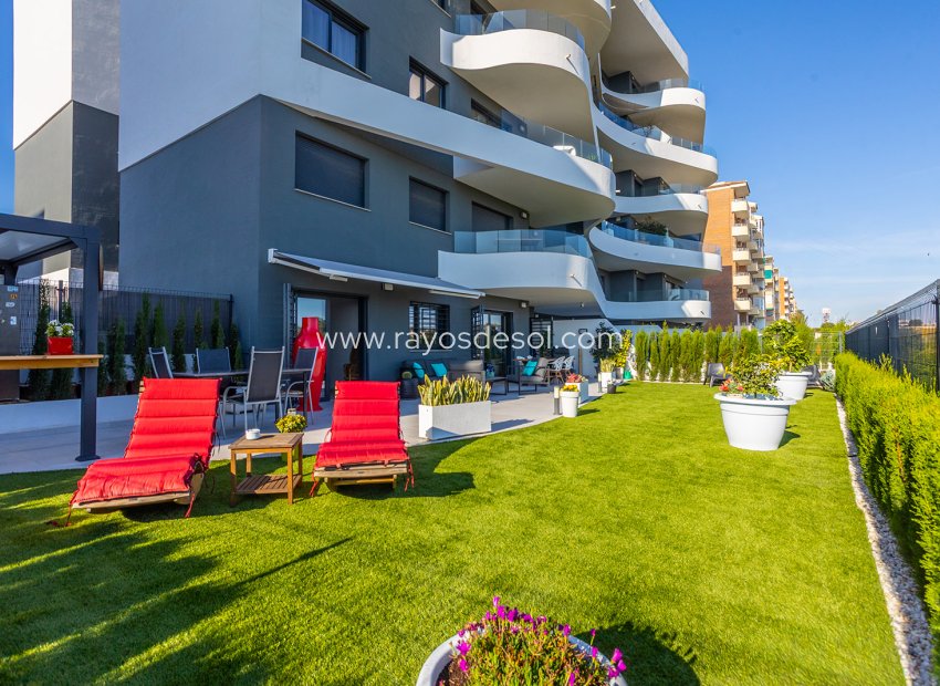 Wiederverkauf - Appartement - Torrevieja - Rocio del Mar