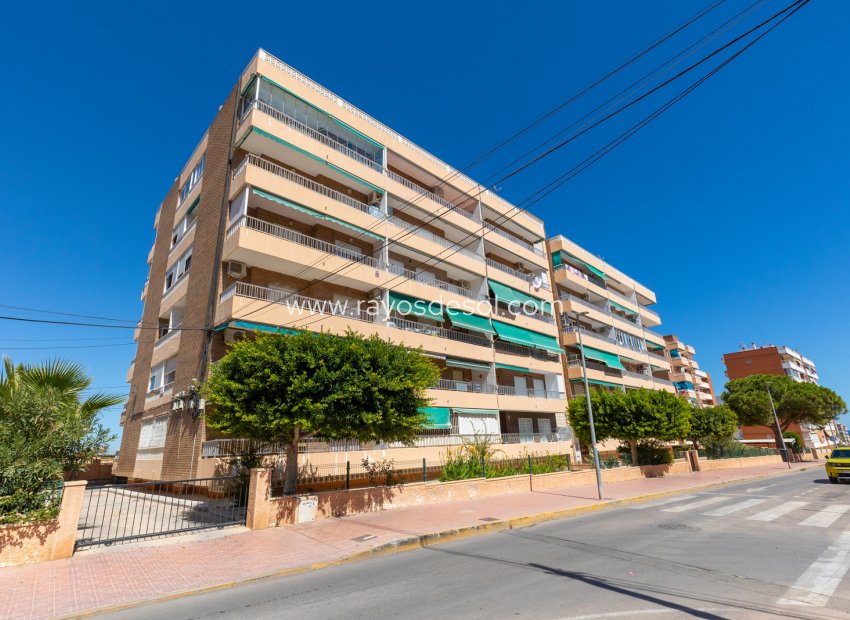 Wiederverkauf - Appartement - Torrevieja - Rocio del Mar