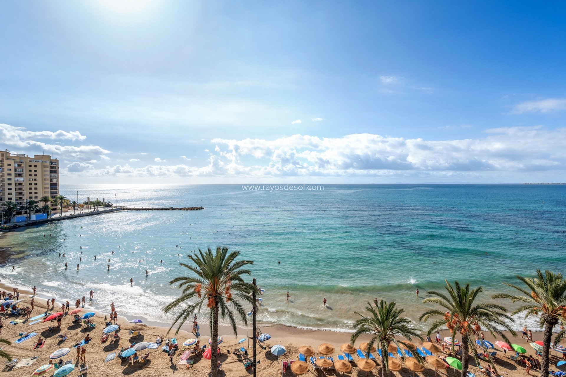 Wiederverkauf - Appartement - Torrevieja