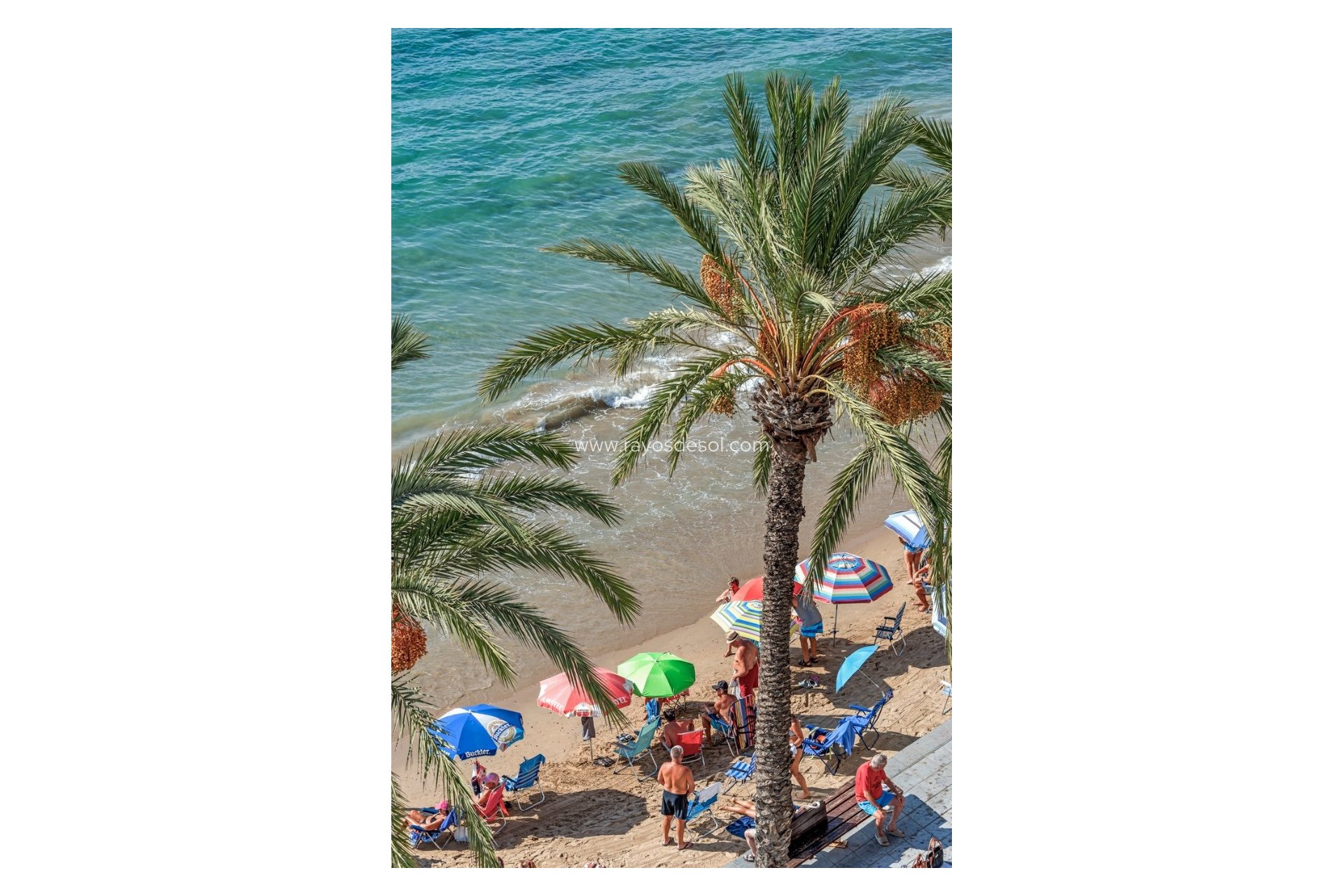 Wiederverkauf - Appartement - Torrevieja