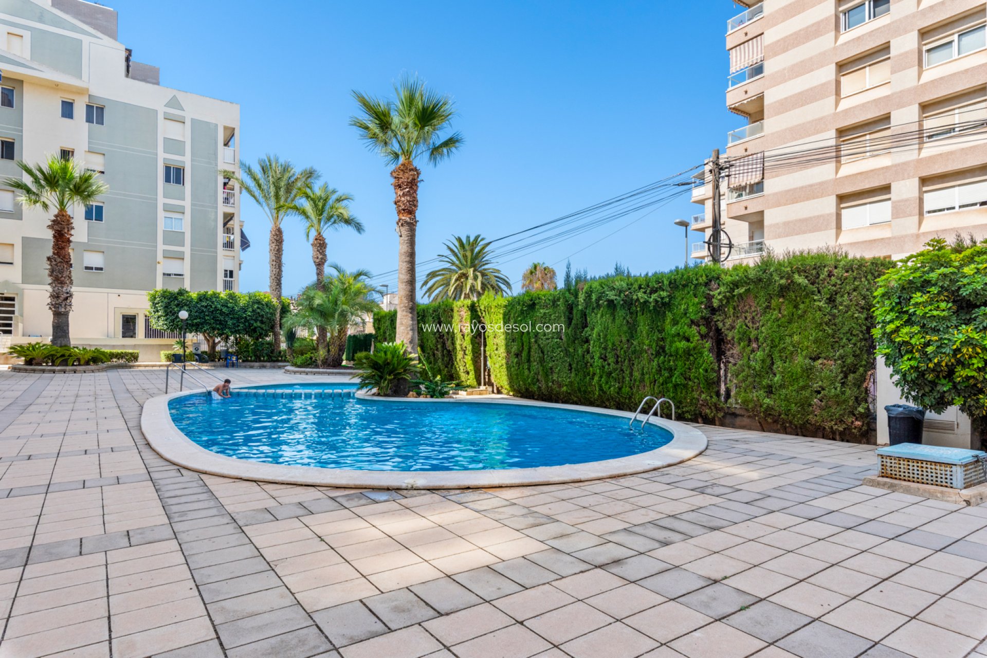 Wiederverkauf - Appartement - Torrevieja