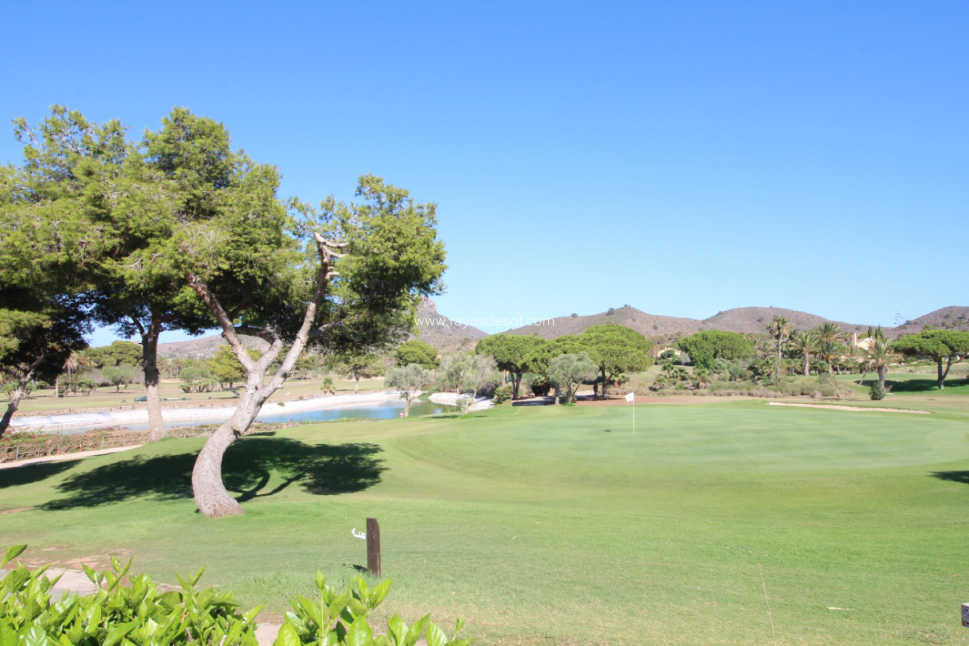 Wiederverkauf - Bungalow - La Manga Club