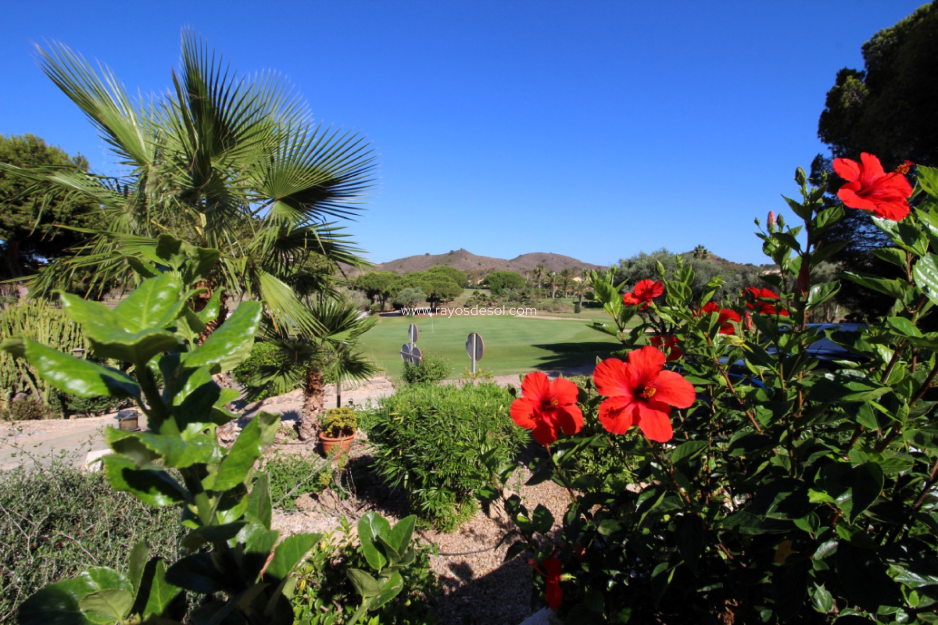 Wiederverkauf - Bungalow - La Manga Club