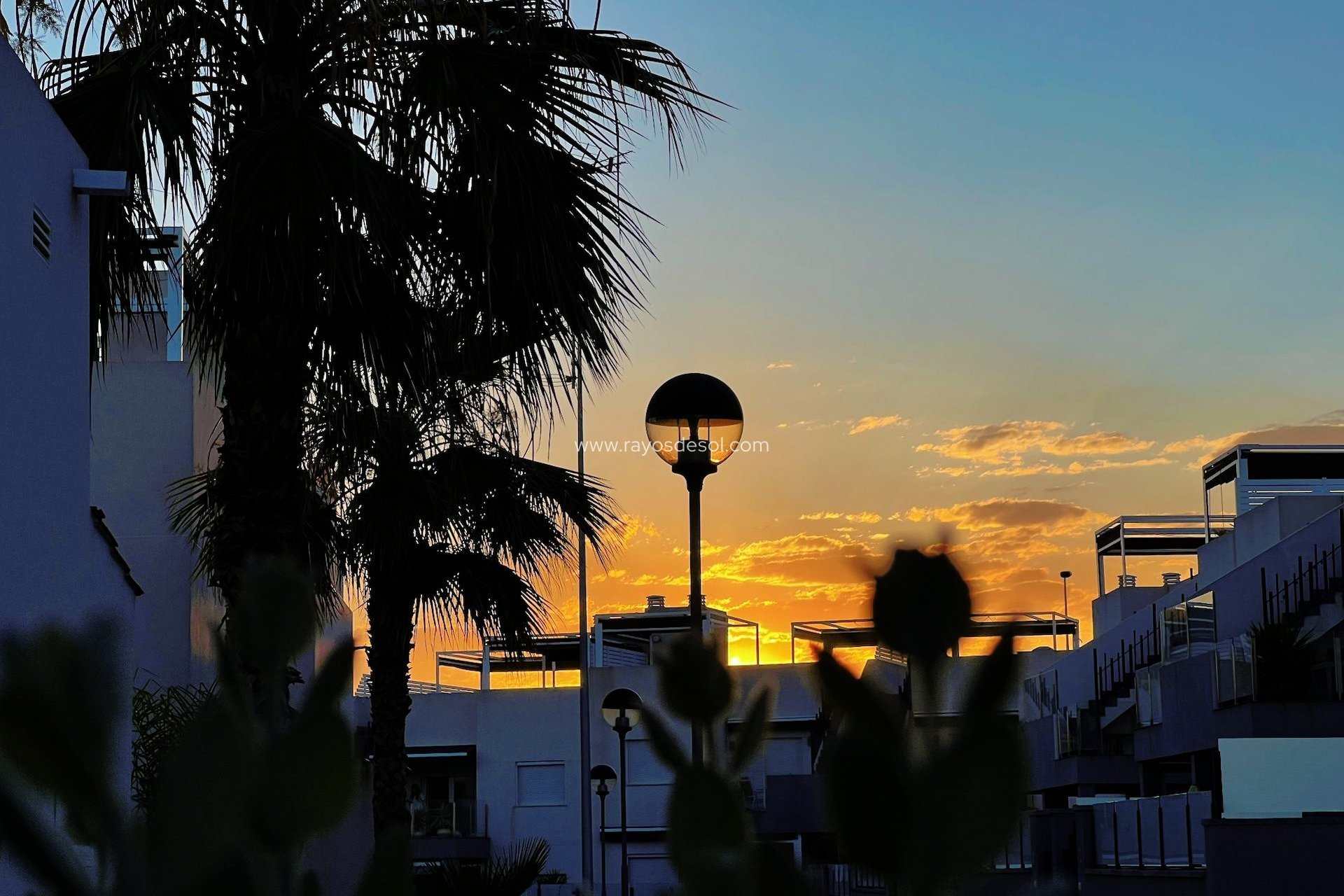 Wiederverkauf - Bungalow - Torrevieja - Aguas Nuevas