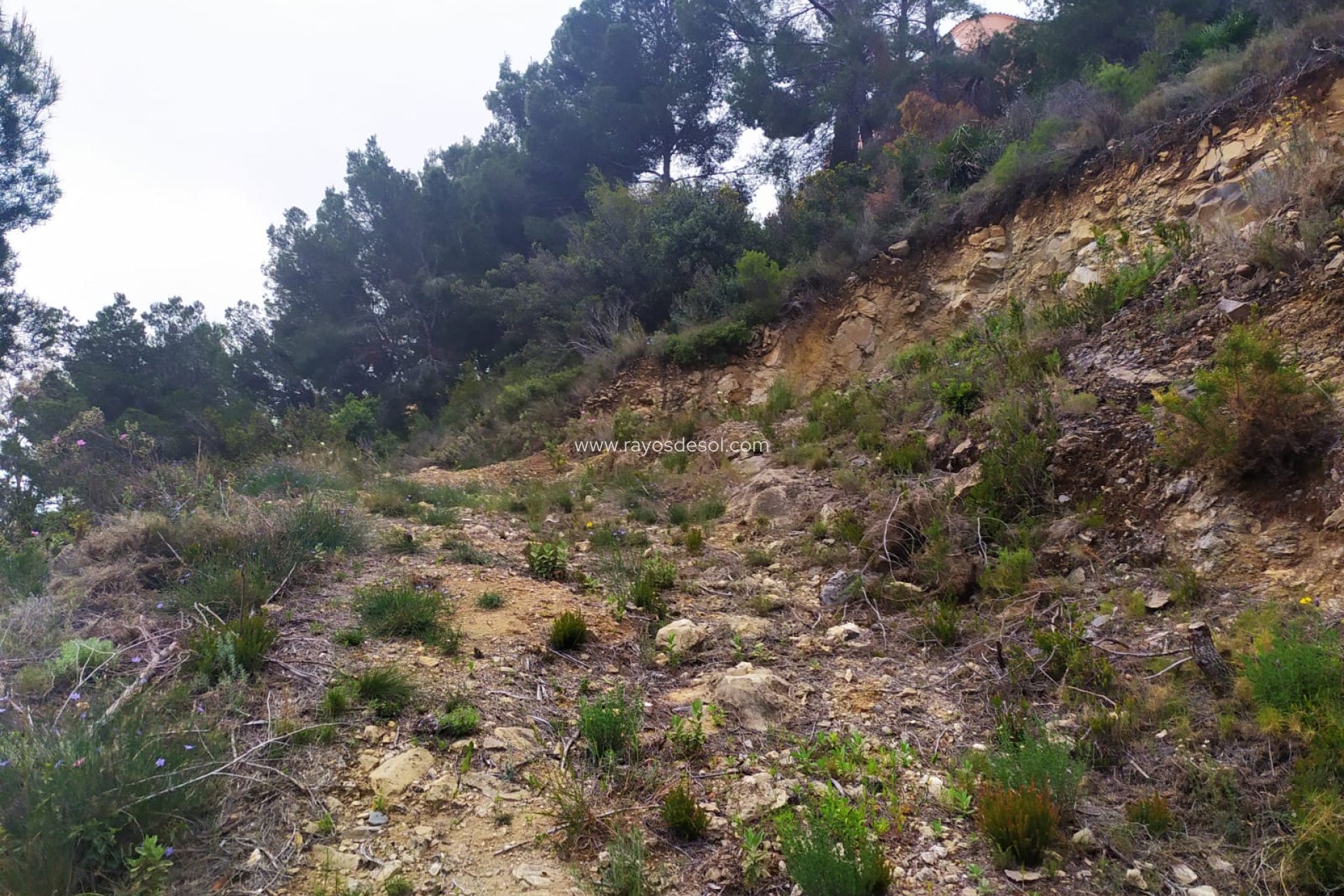 Wiederverkauf - Grundstück / Grundstück - Calpe
