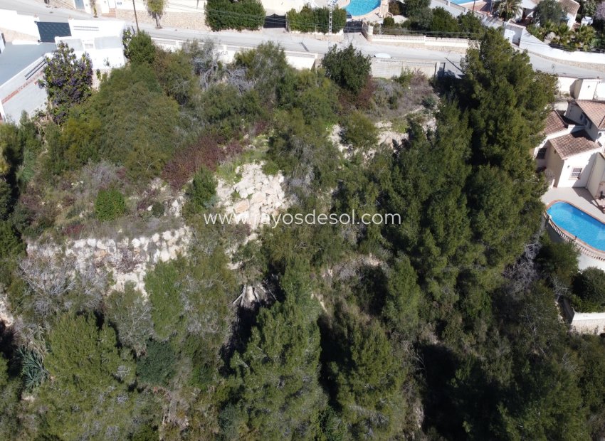 Wiederverkauf - Grundstück / Grundstück - Moraira - Pinar de l'Advocat