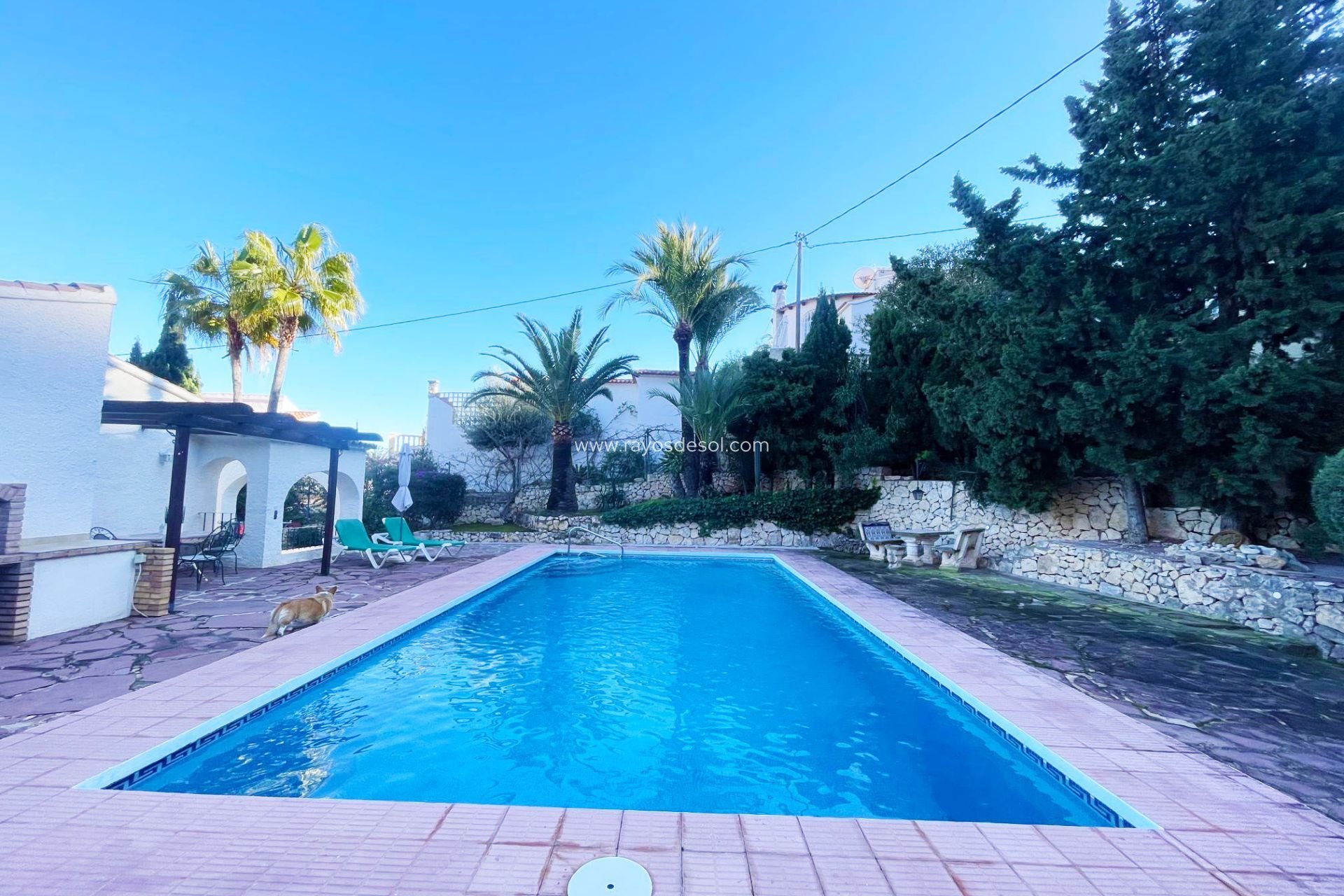 Wiederverkauf - Haus - Calpe - Maryvilla