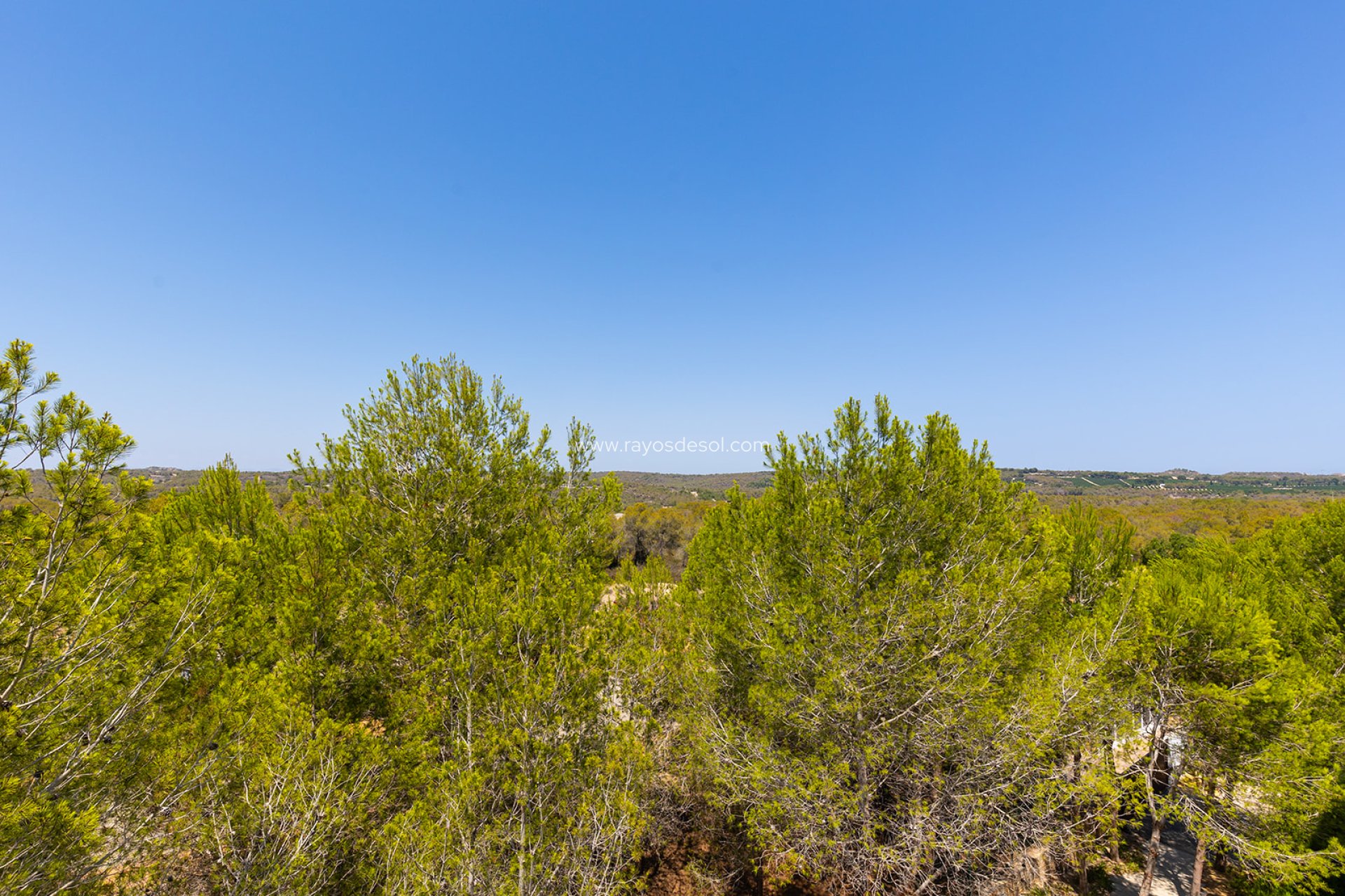 Wiederverkauf - Penthouse - Las Colinas Golf Resort - Las Colinas Golf