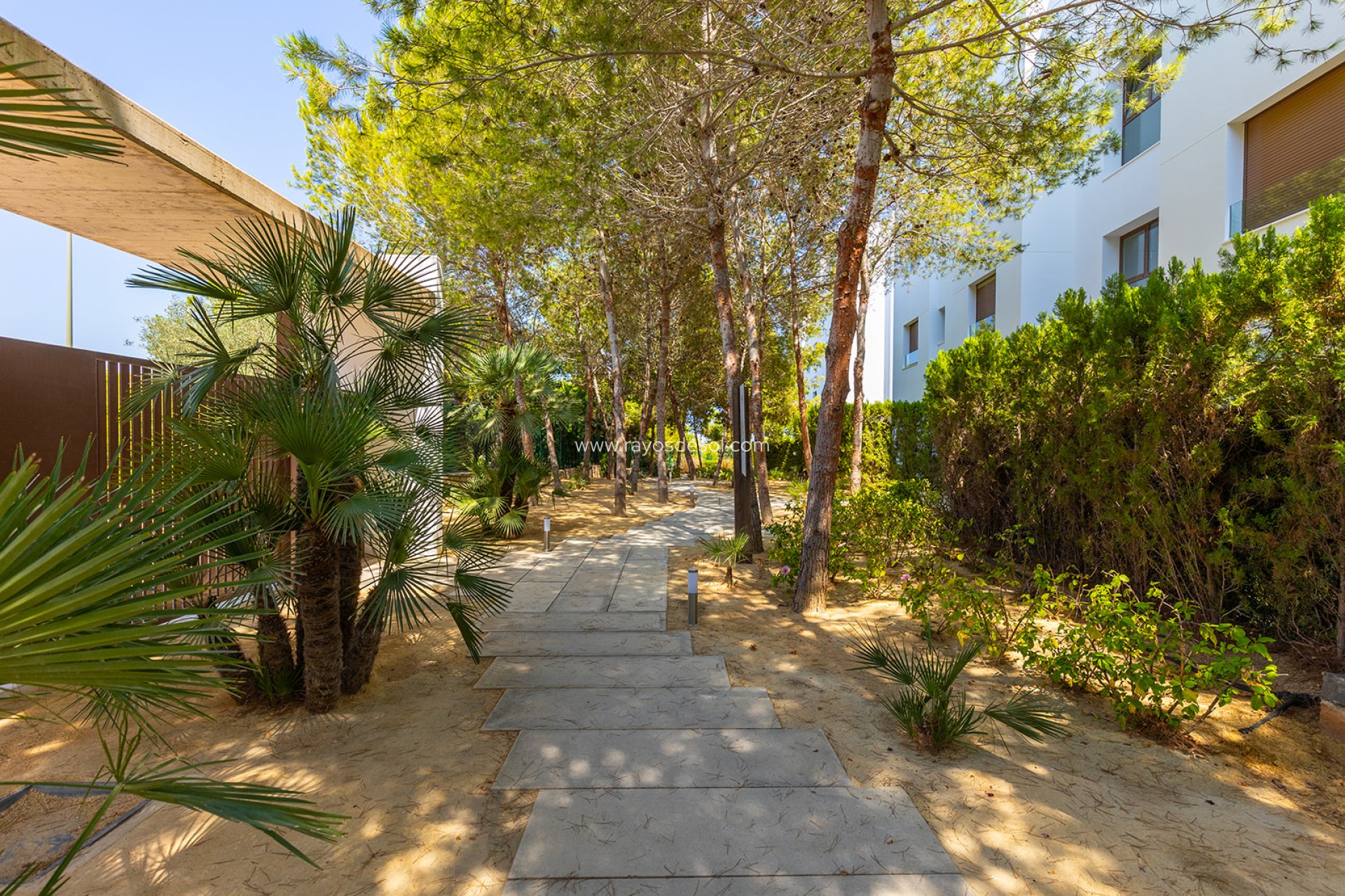 Wiederverkauf - Penthouse - Las Colinas Golf Resort - Las Colinas Golf