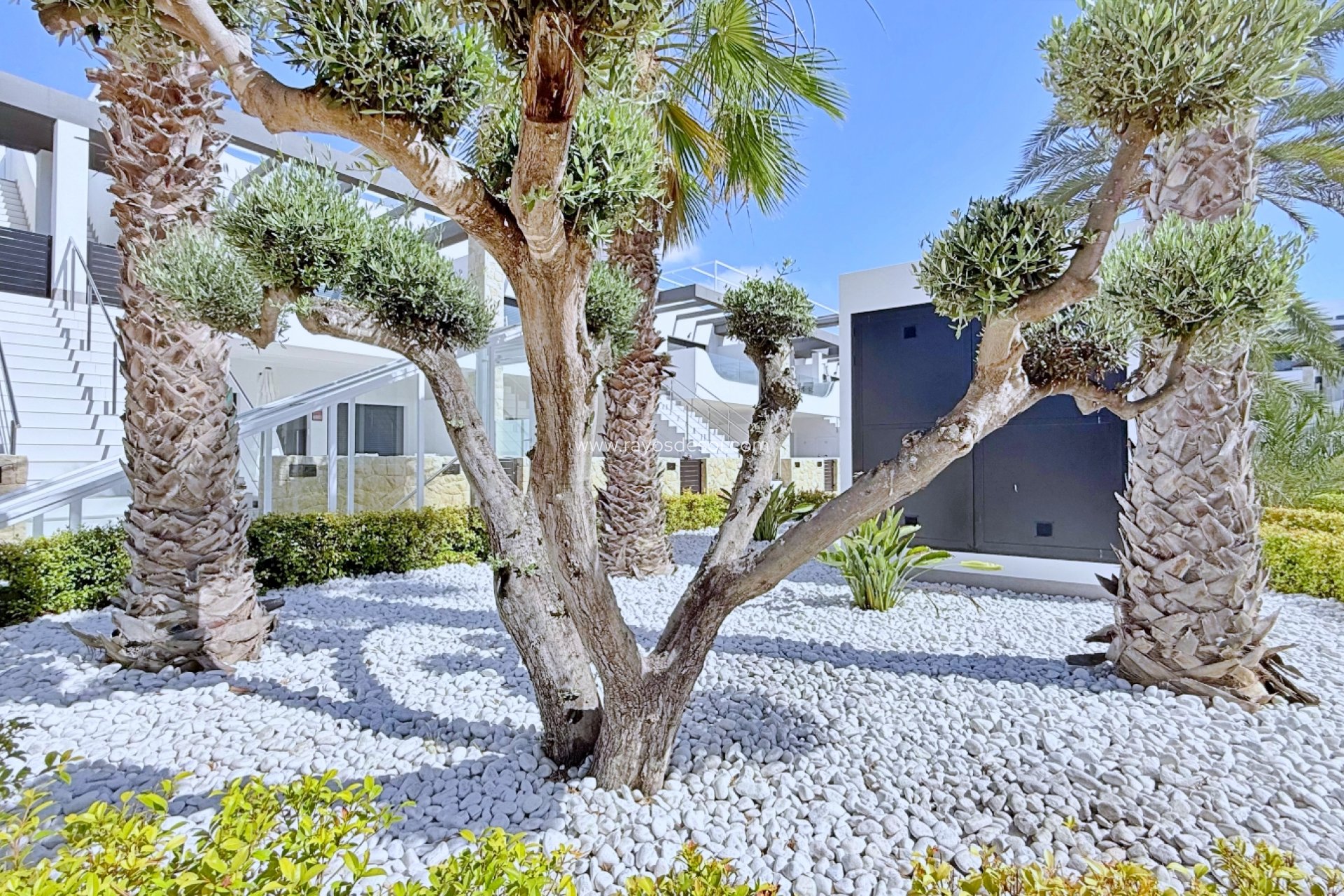 Wiederverkauf - Penthouse - Orihuela Costa - Punta Prima