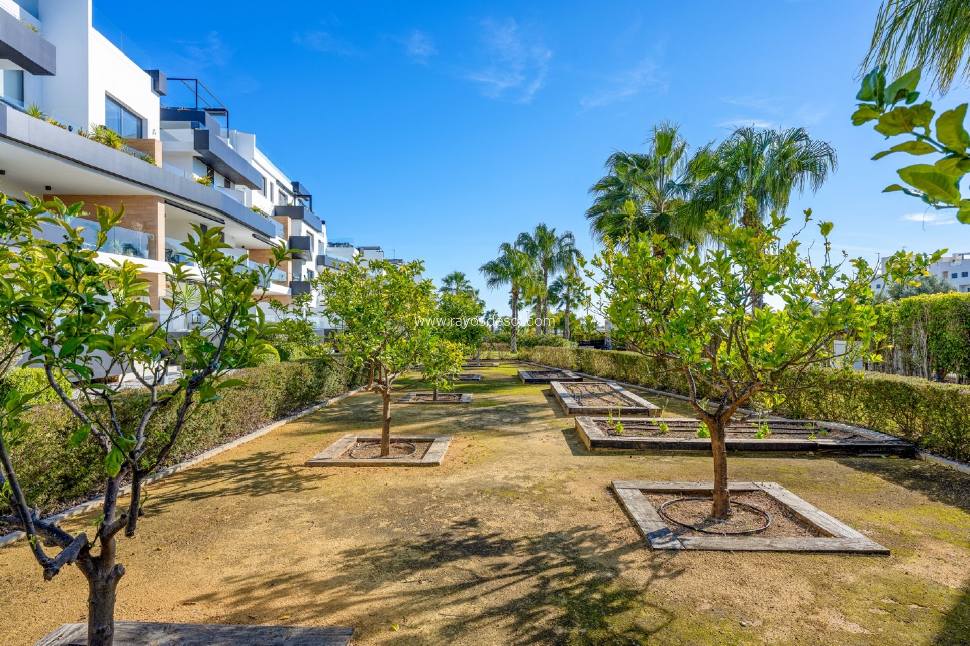 Wiederverkauf - Penthouse - Orihuela Costa - Villamartin