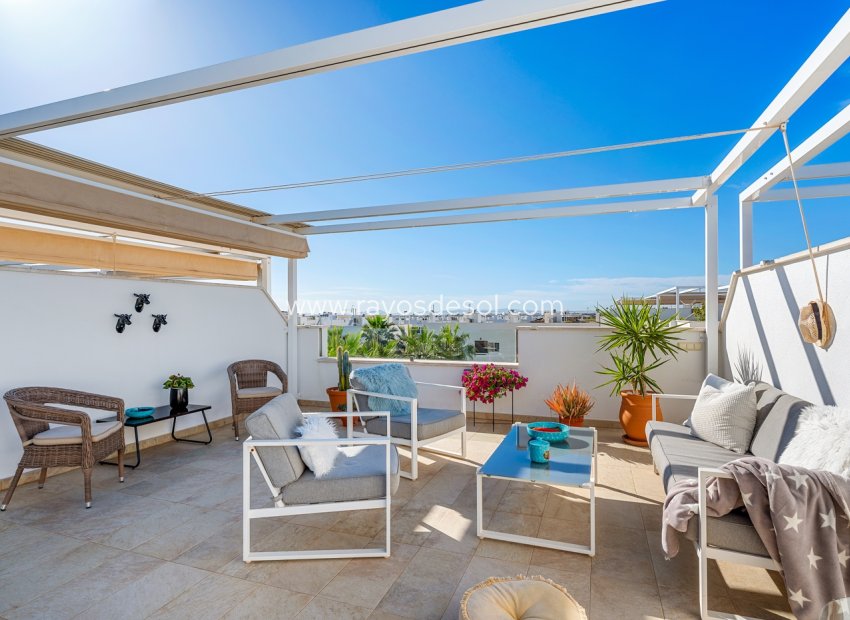 Wiederverkauf - Penthouse - Torre de la Horadada - Spain