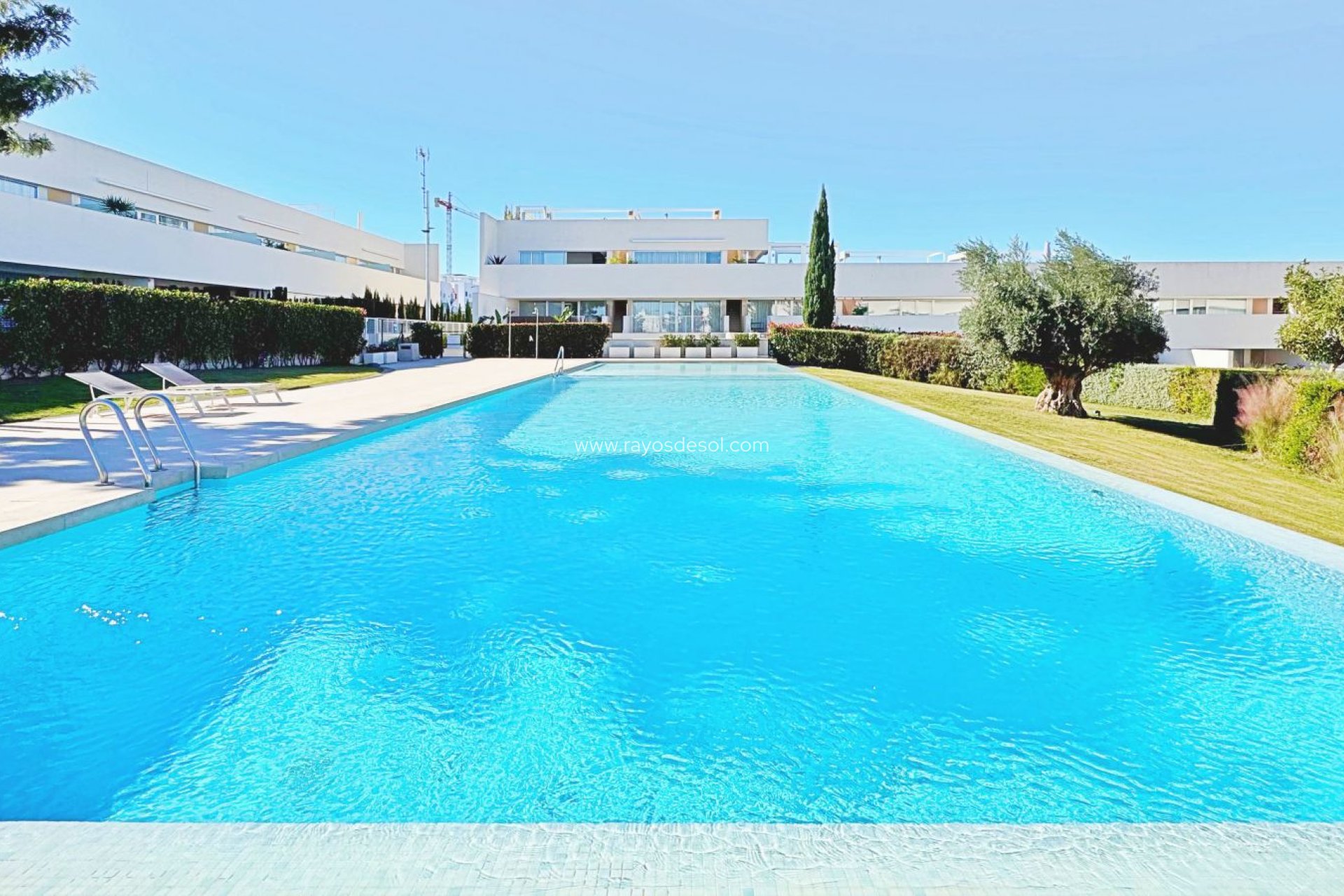 Wiederverkauf - Penthouse - Torrevieja - Los Balcones