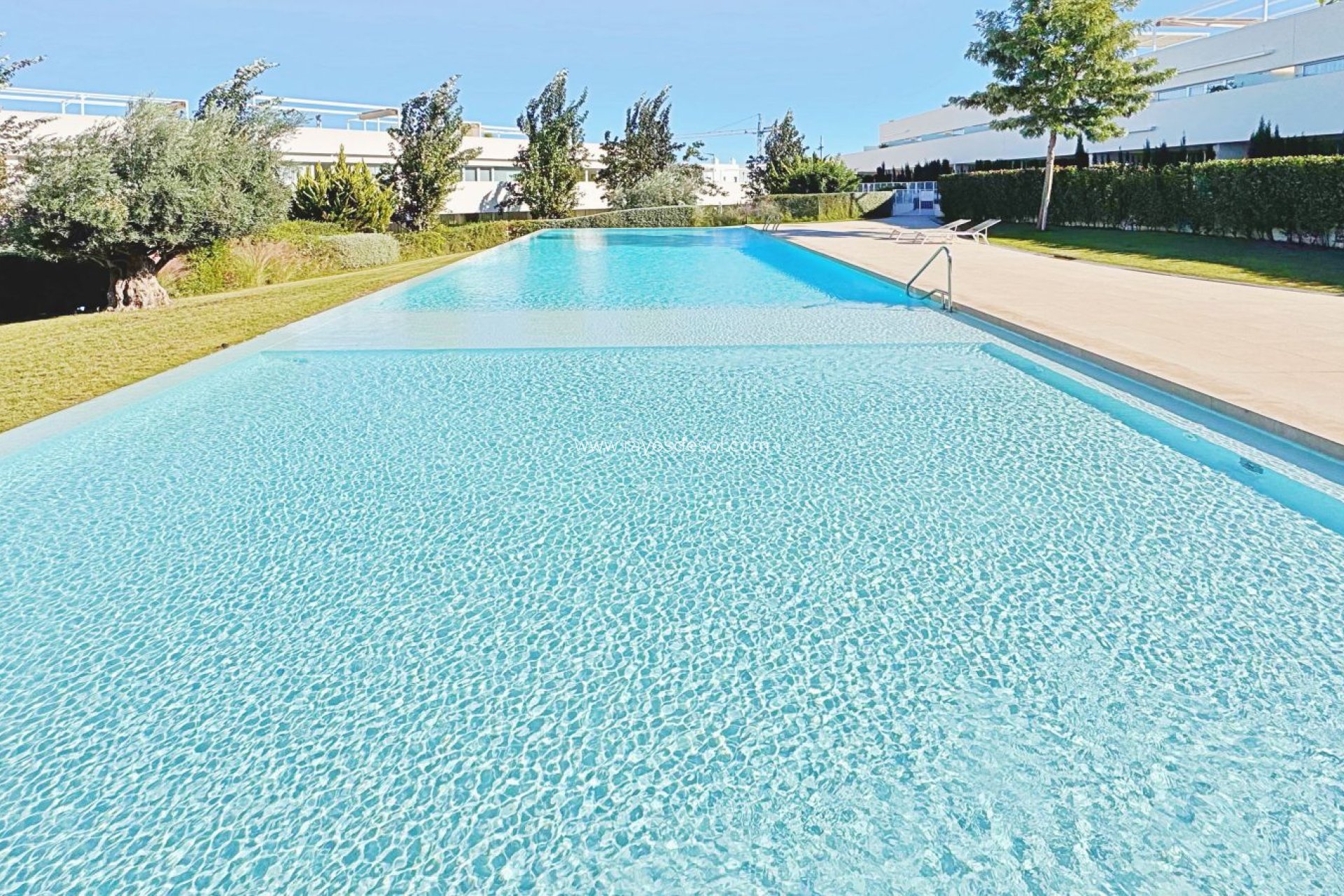 Wiederverkauf - Penthouse - Torrevieja - Los Balcones