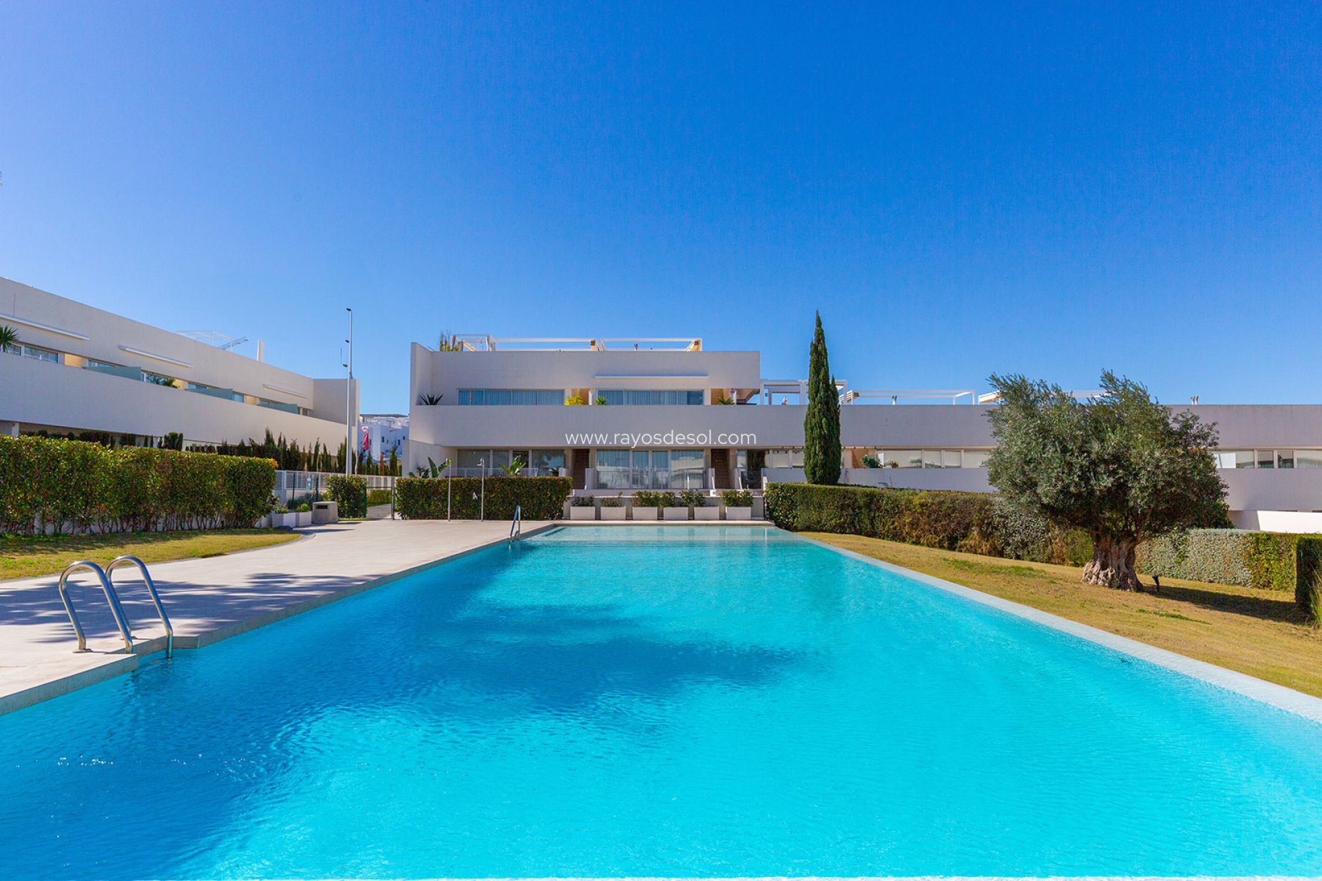 Wiederverkauf - Penthouse - Torrevieja - Los Balcones